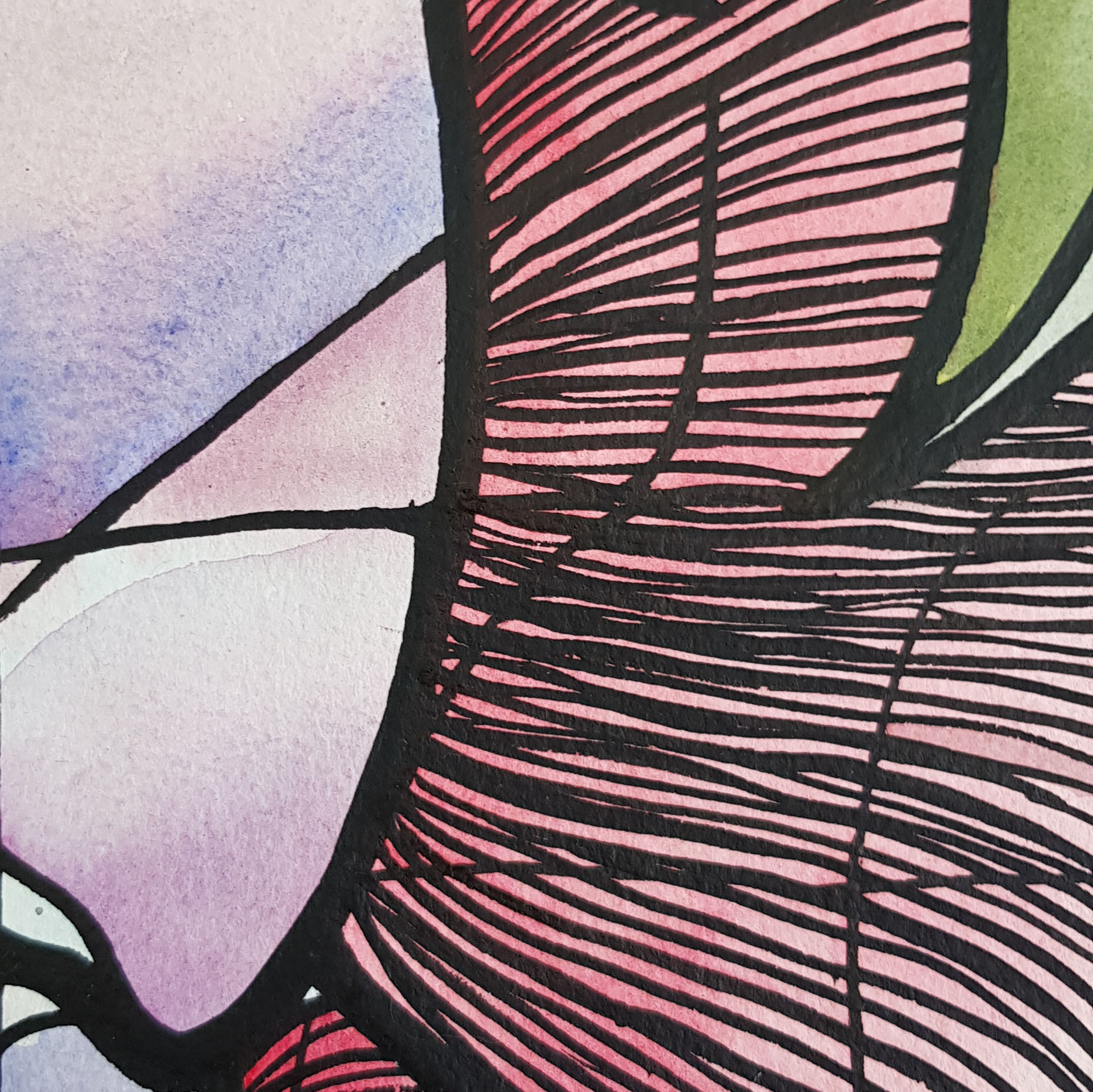 In The Gum Leaves By Nicola Cowie Ink