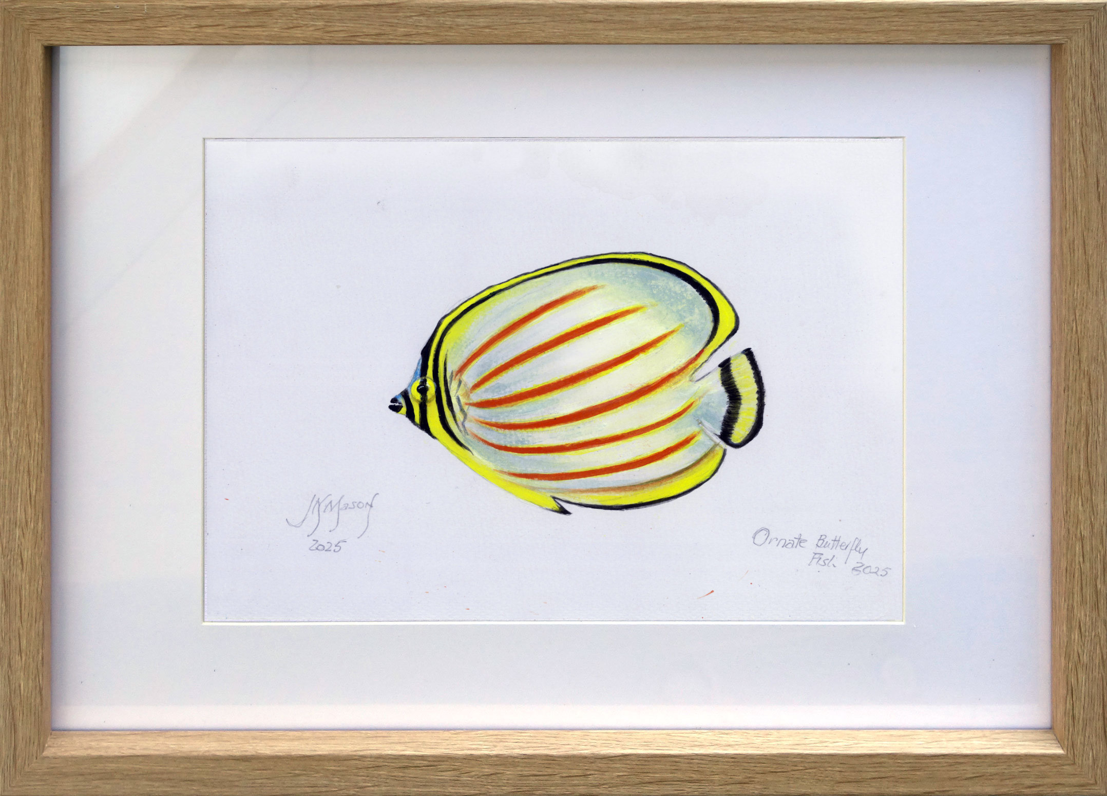 Ornatebutterflyfishframed