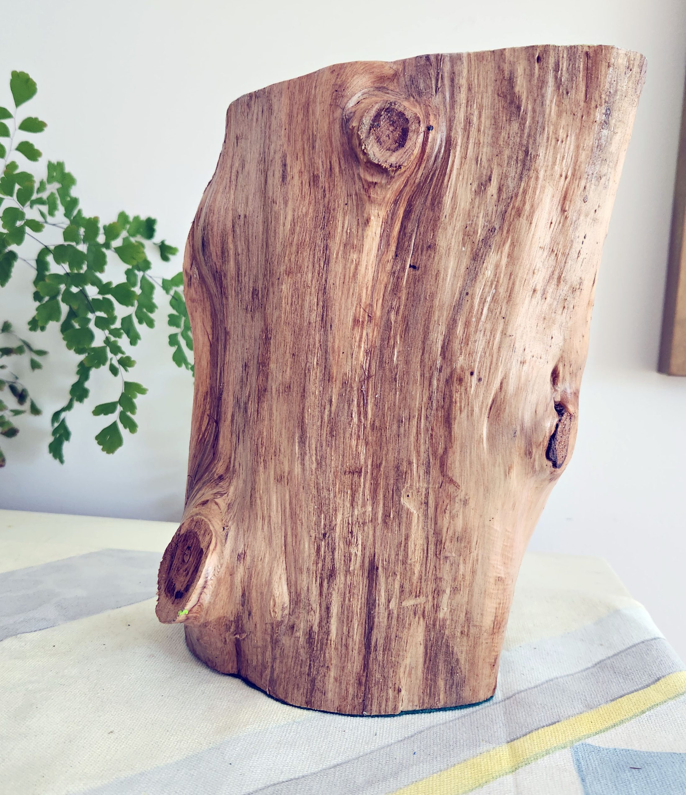 Just Watching By Susanne Bianchi Back