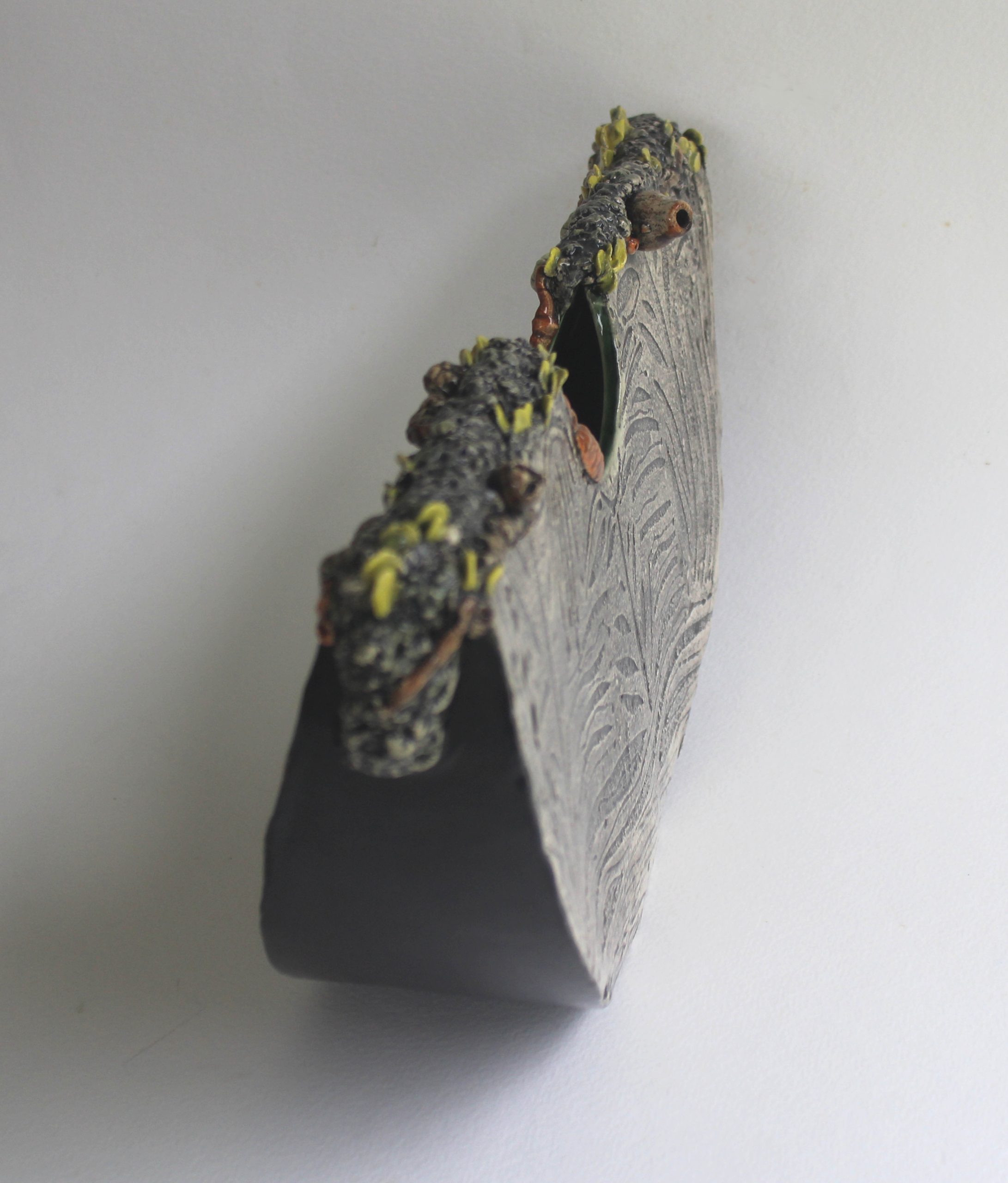 Nature Impressions 3 Carol Forster Art Lovers Australia