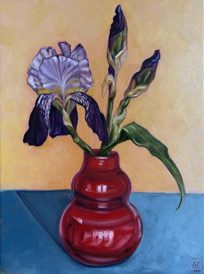 Iris – seed packet