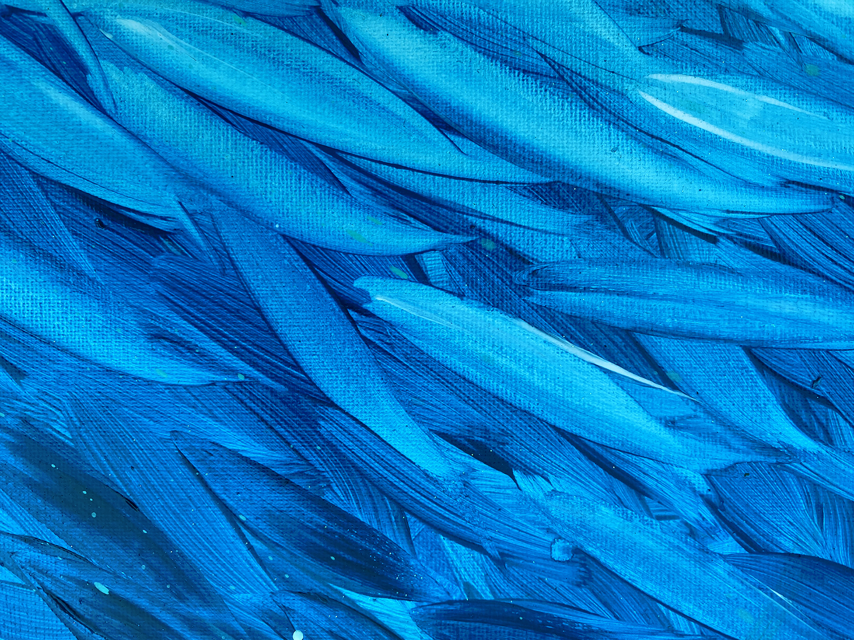 Fish In Blue And Aqua Close Lr