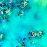 Fullsizerender 1800x720 Acf Cropped 2