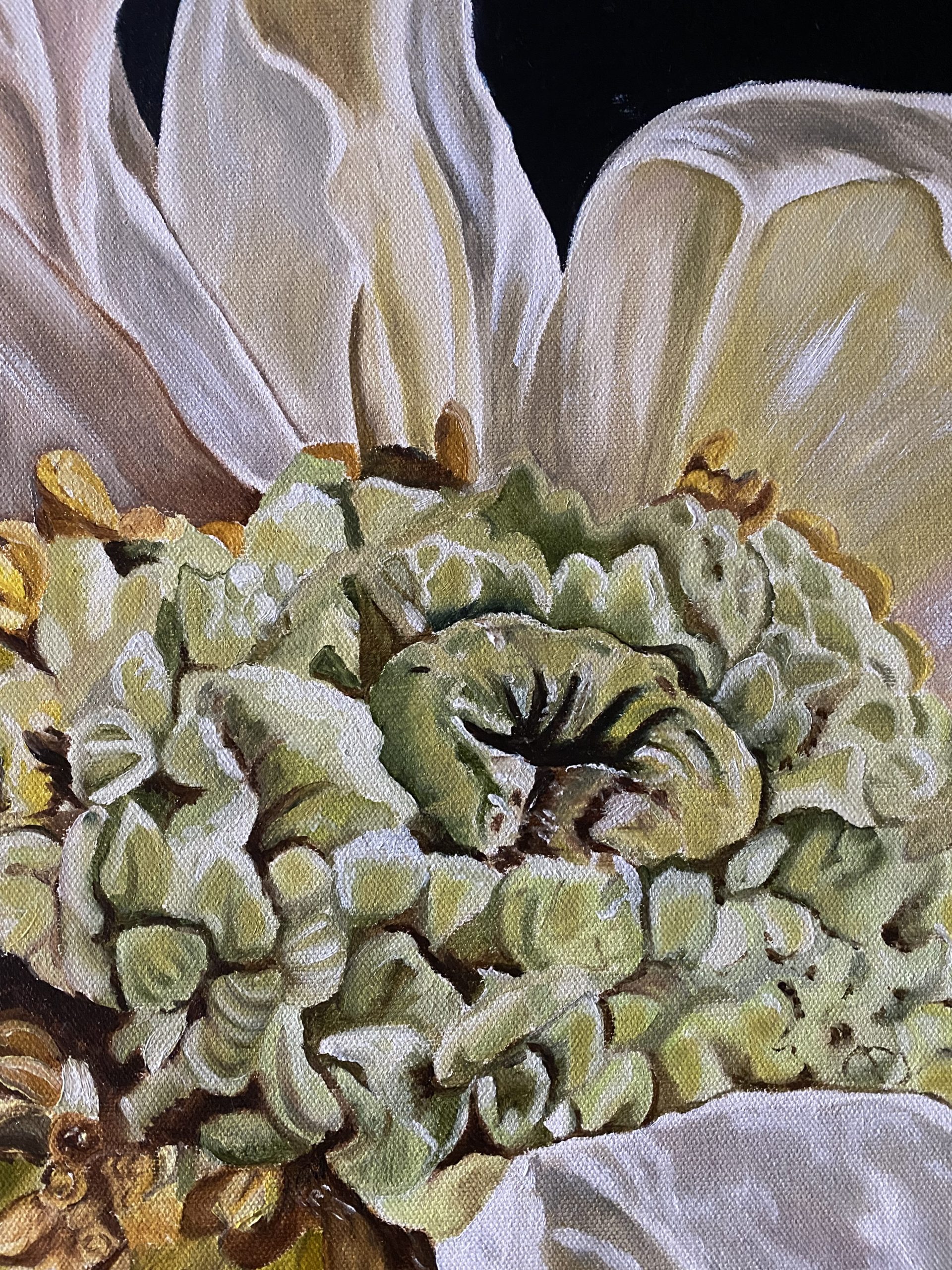 Poppy's Heart Insitu7 Wendy Peters