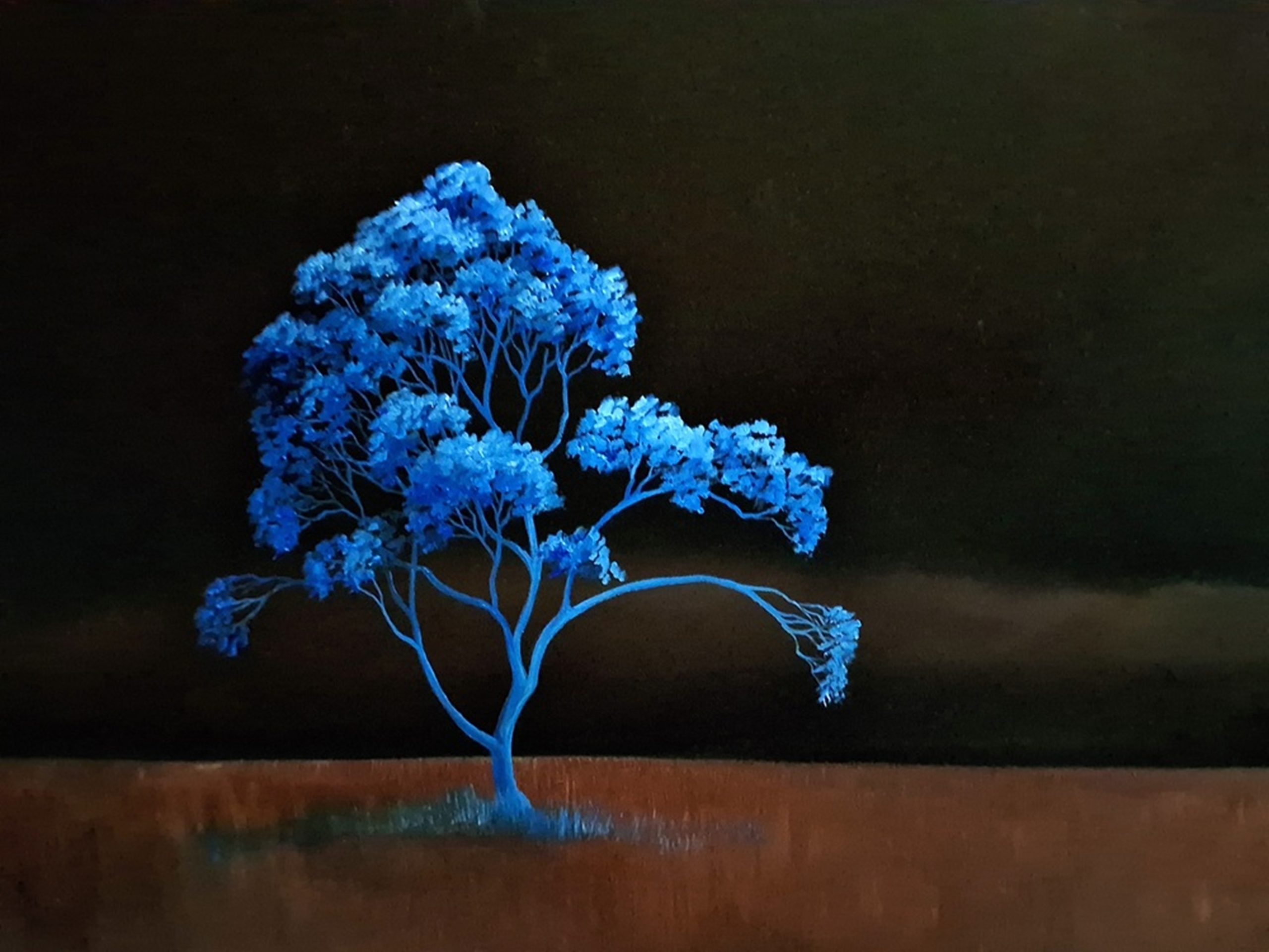 The Blue Night Tree Lucinda Leveille 1