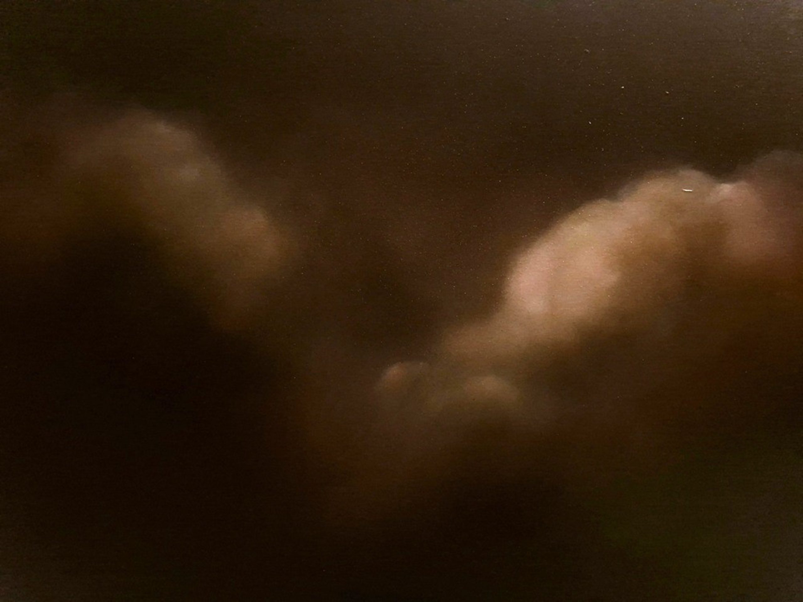 The Blue Night Tree Lucinda Leveille 2