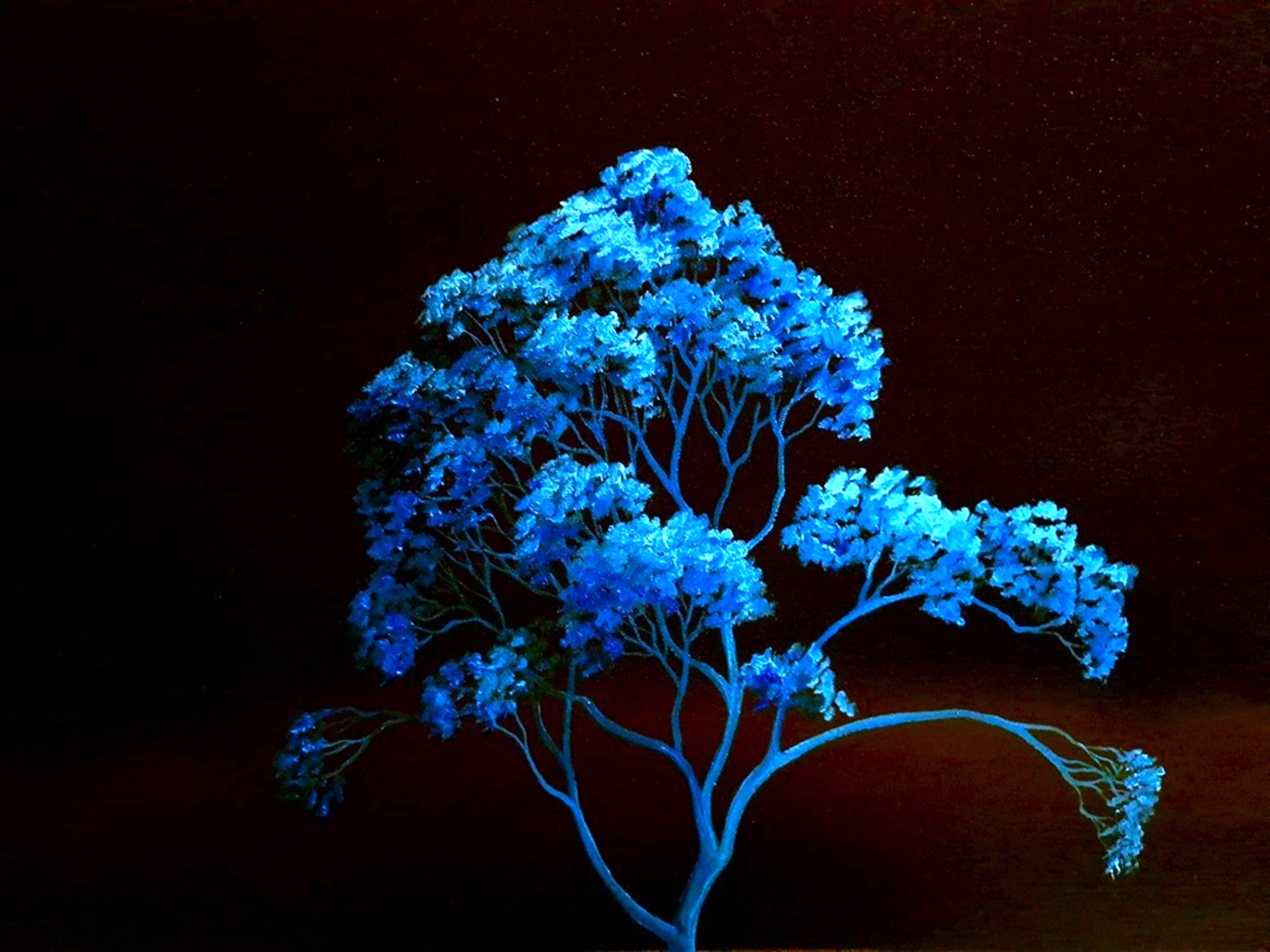 The Blue Night Tree Lucinda Leveille 3