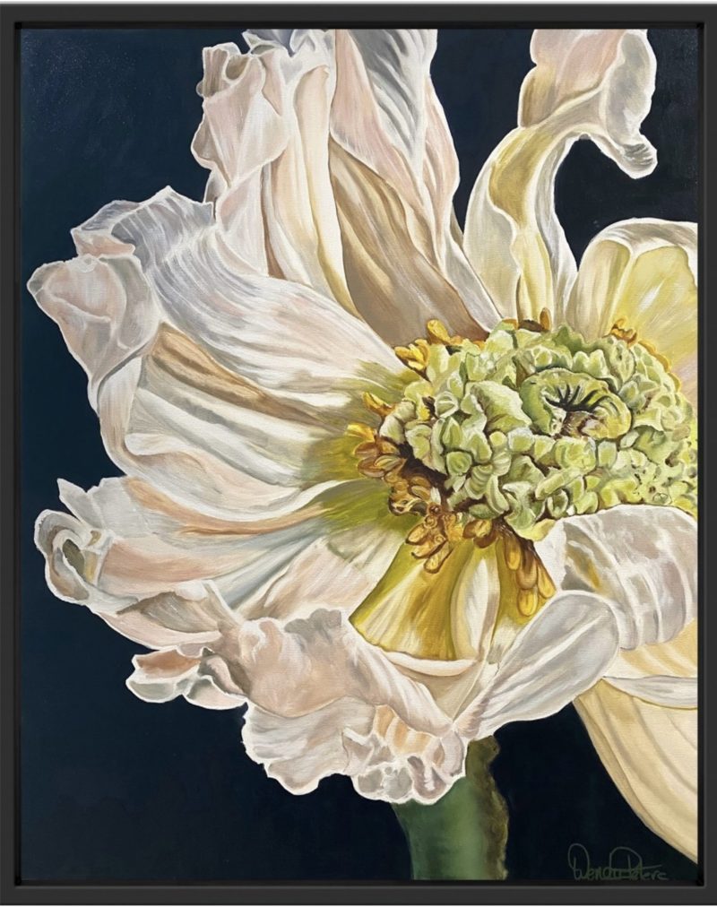 Poppies Heart – Framed