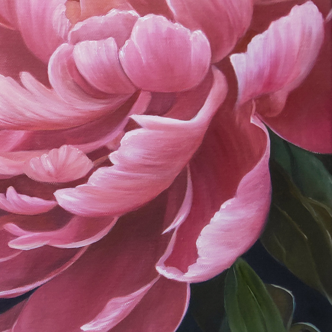 Peony Grace3