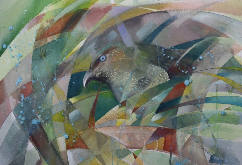 Young female Satin Bower