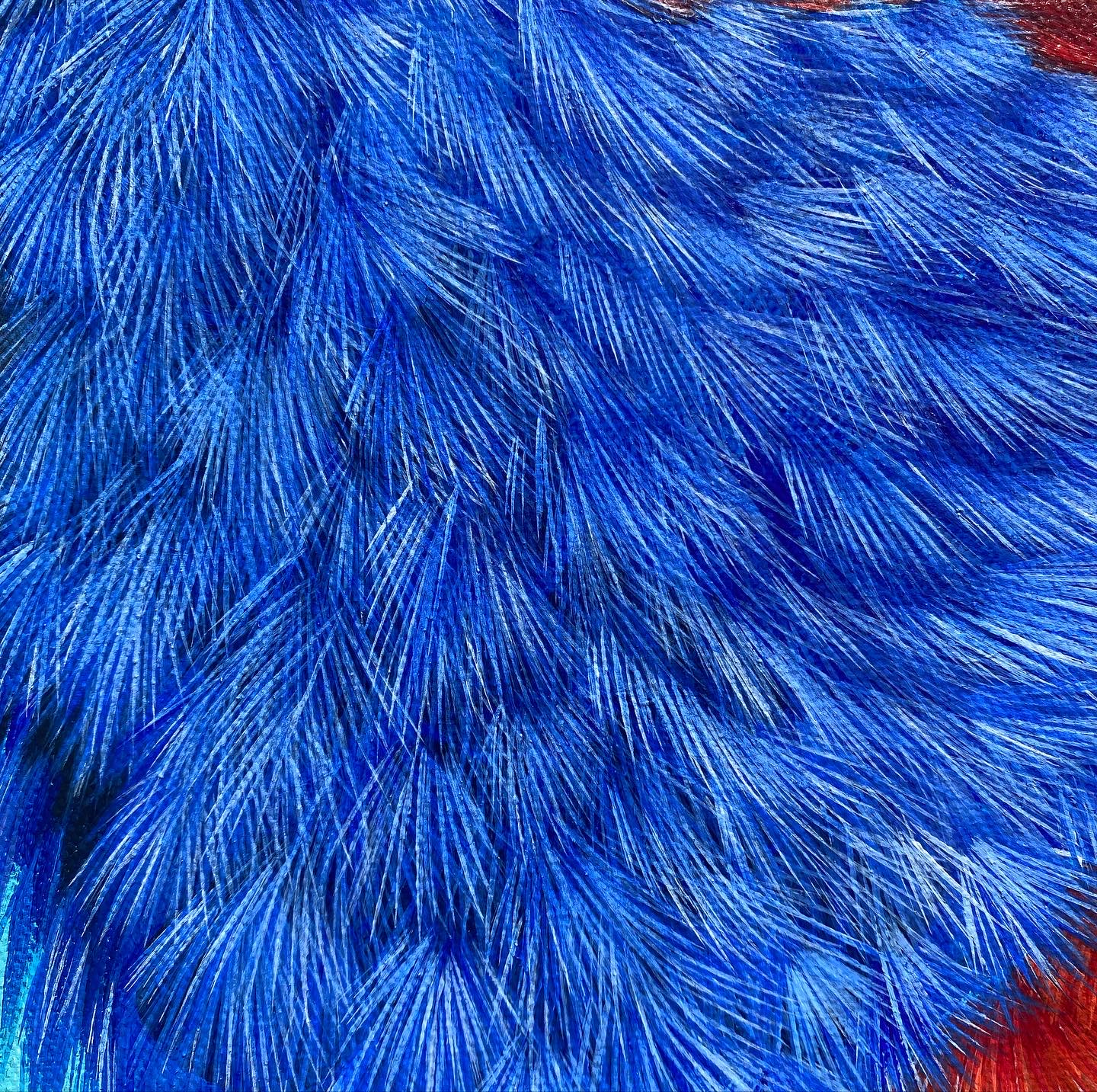 D34419a4 1d9a 447e Bc1d 8be664cd9735