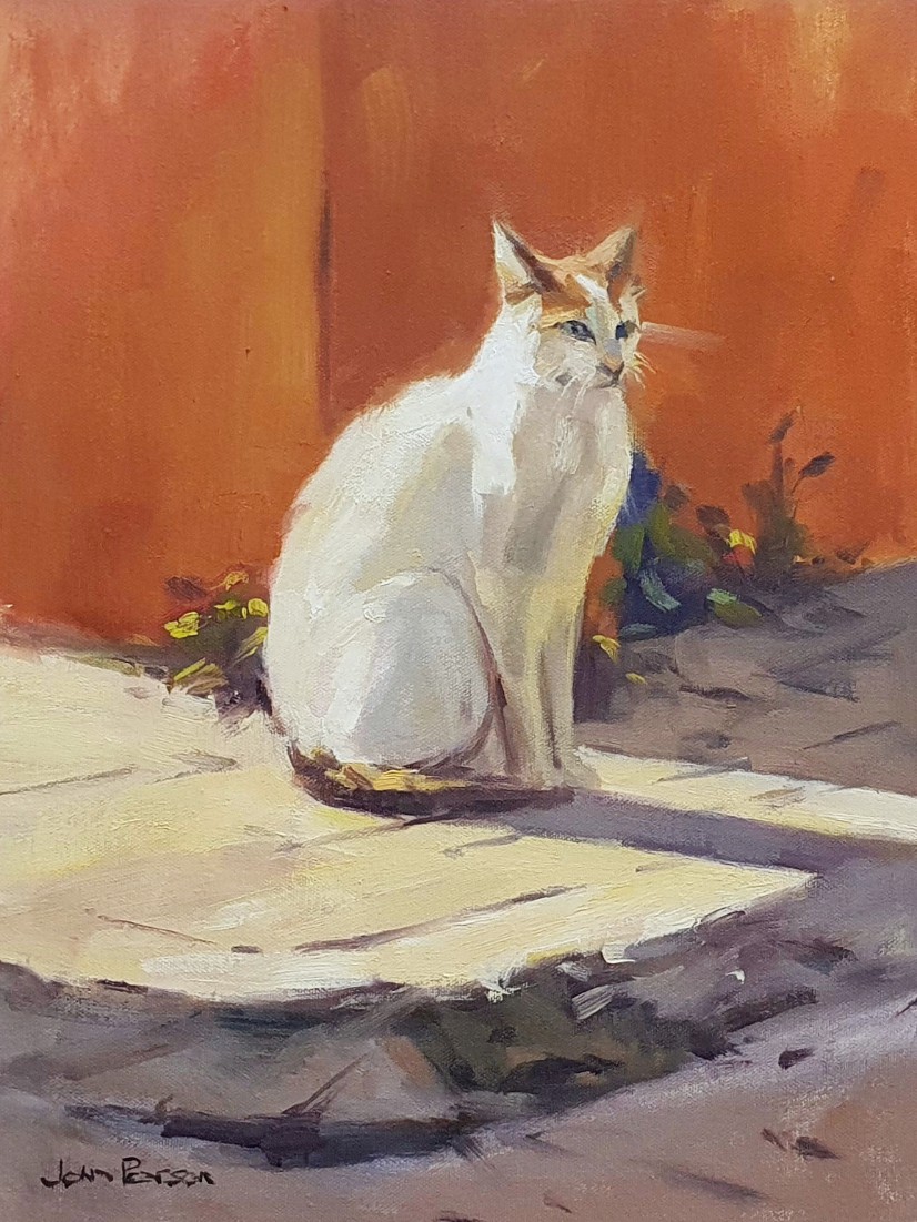 25 It's A Cat's Life