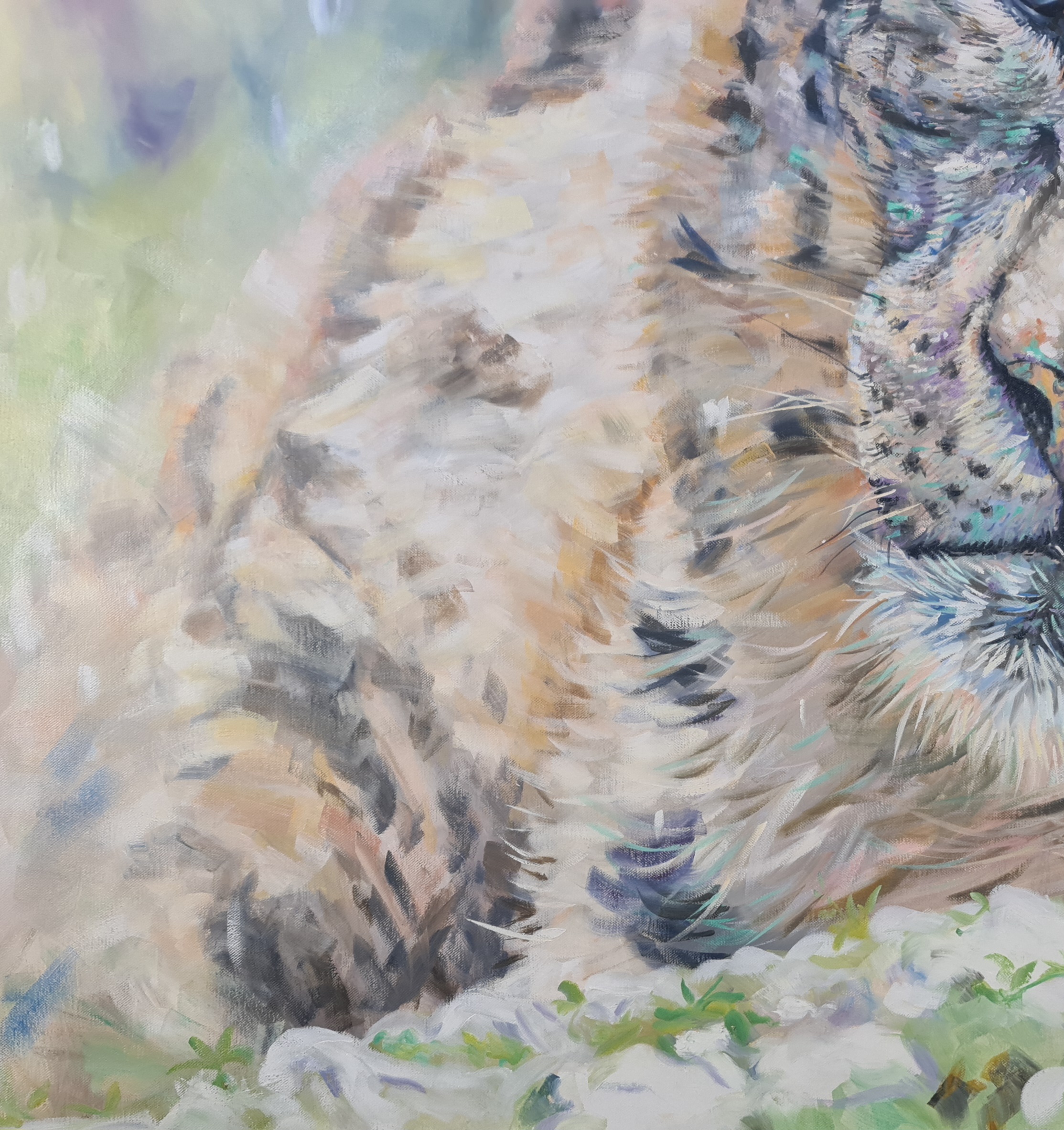 Sitting Snow Leopard Jo S Stacey Art Close Up 2
