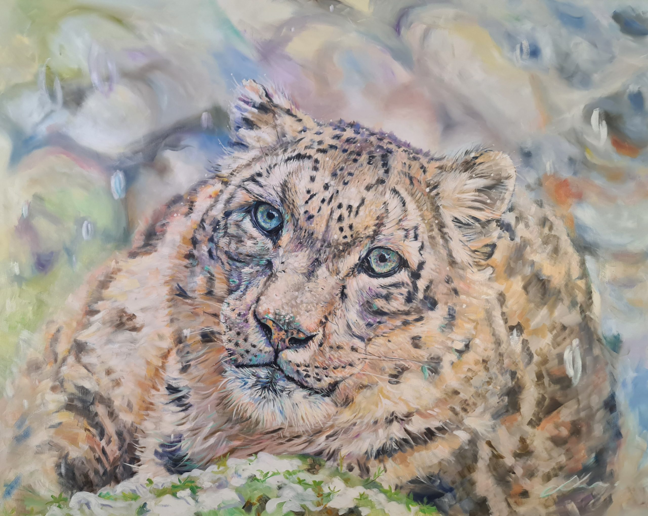 Sitting Snow Leopard Jo S Stacey Oils Fine Art