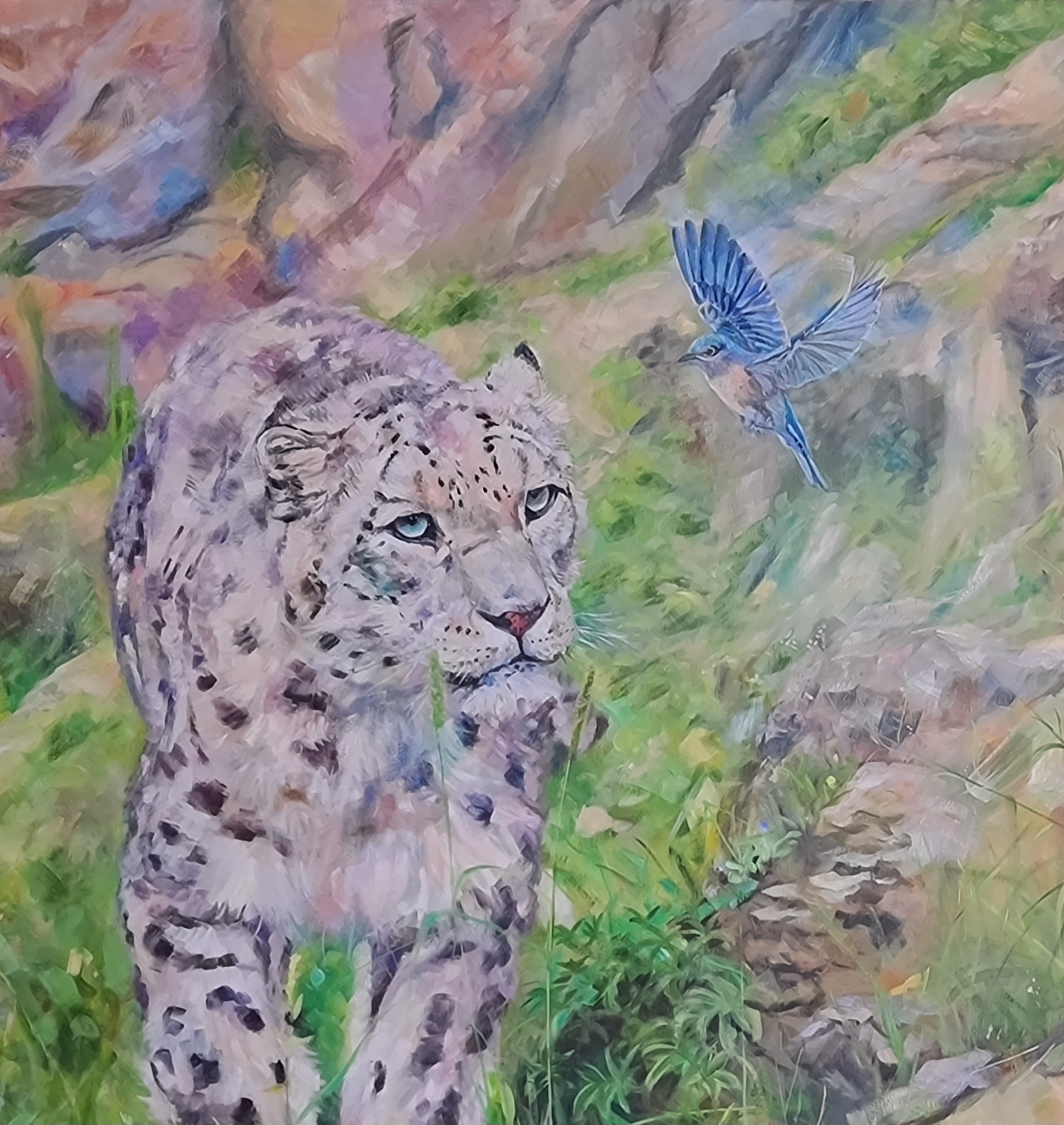 Leopard Walking With Blue Bird Jo Stacey Closeup1