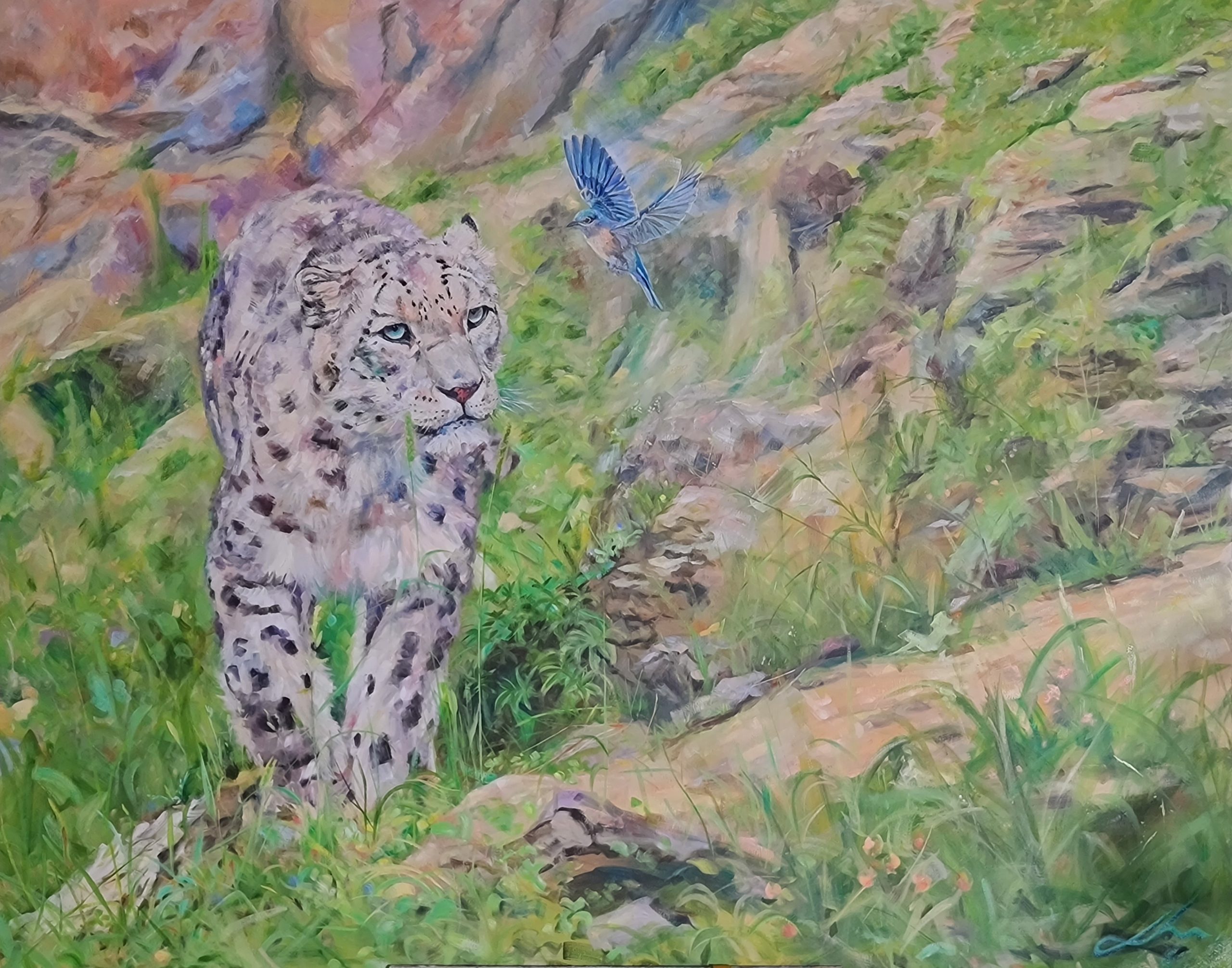 Leopard Walking With Blue Bird Jo Stacey Fine Art