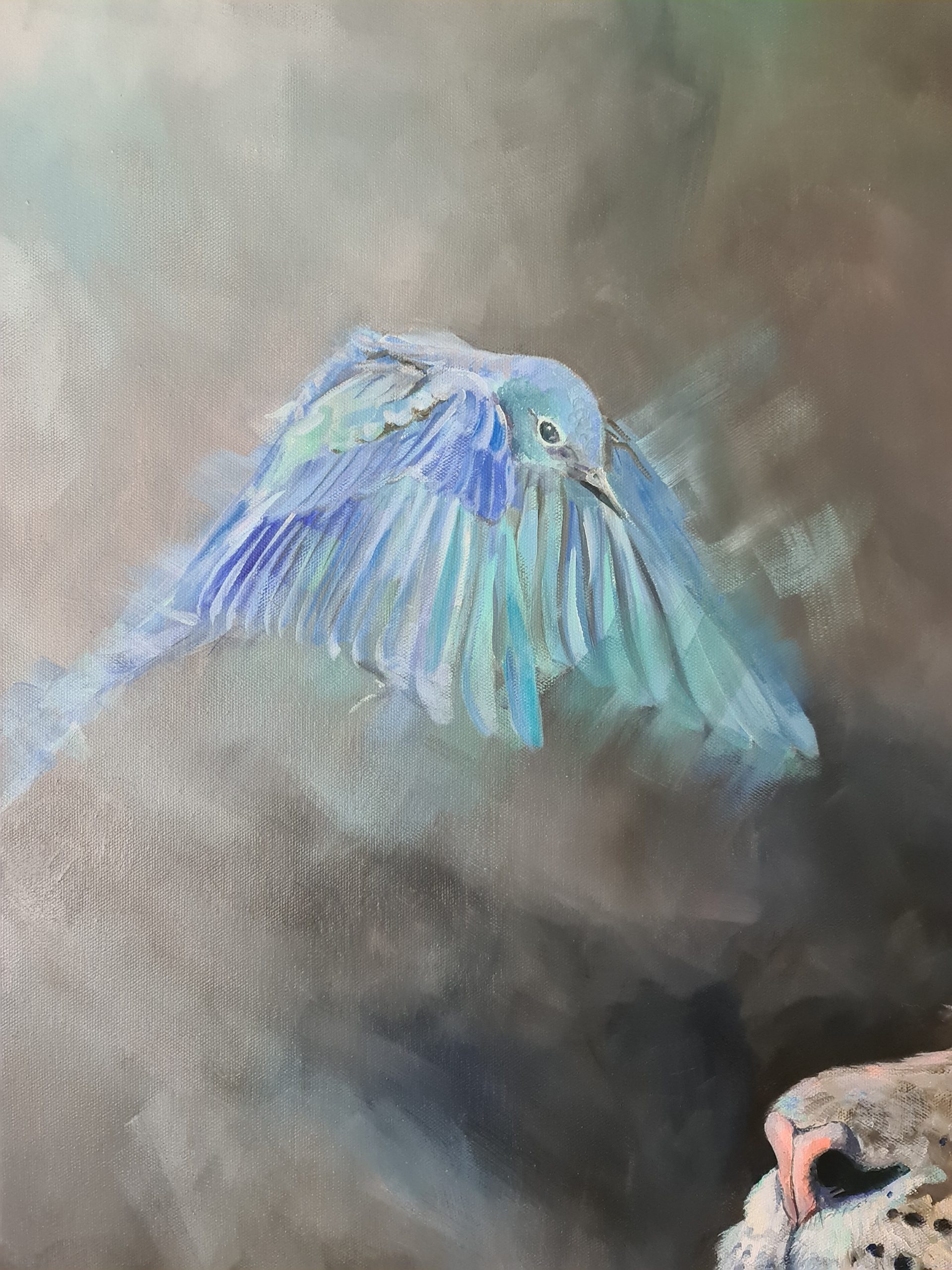 Leopard Looking At Blue Bird Jo Stacey Close Up 1