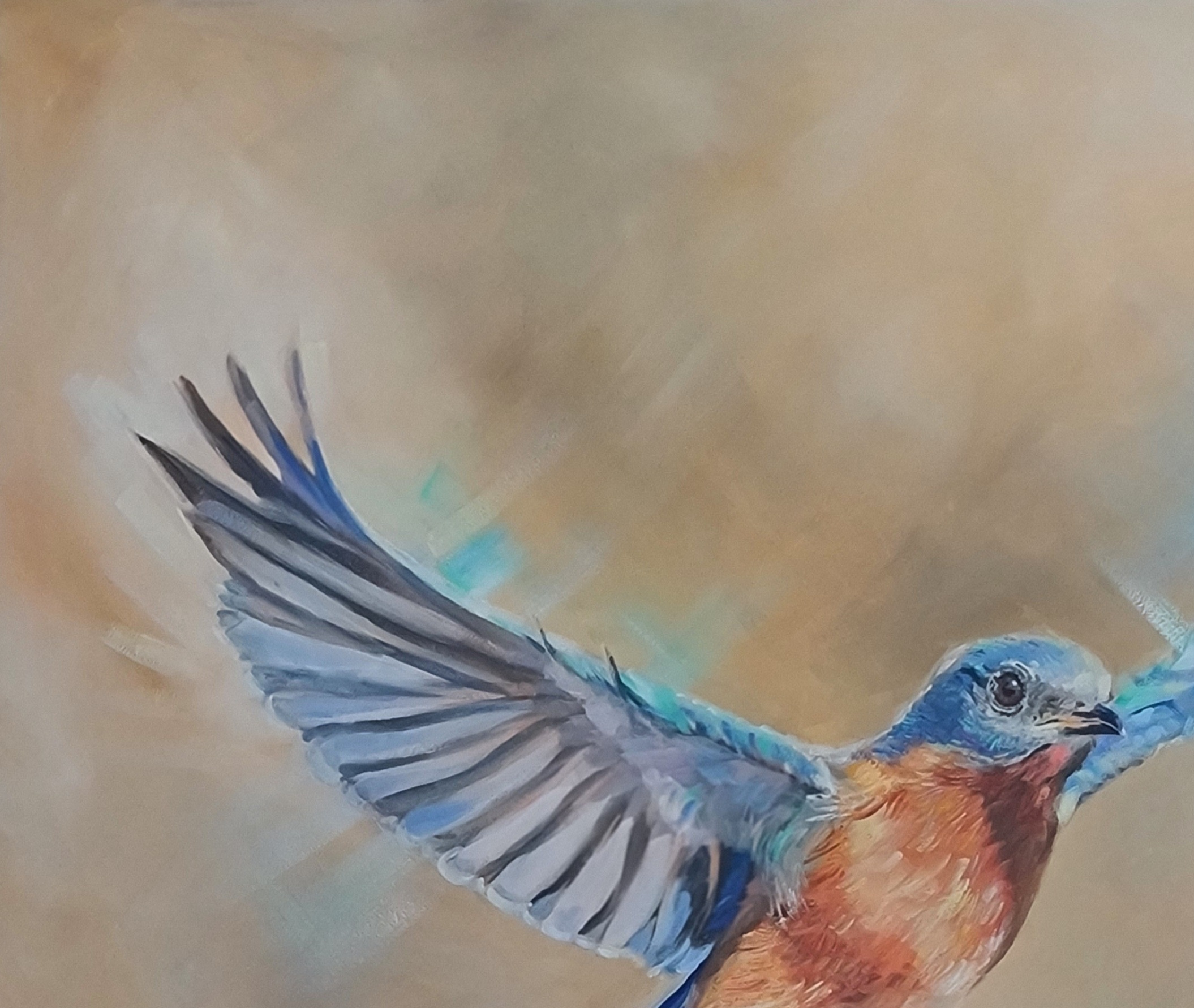 Bluebird Flying Jo S Stacey Fine Art Oils Closeup1