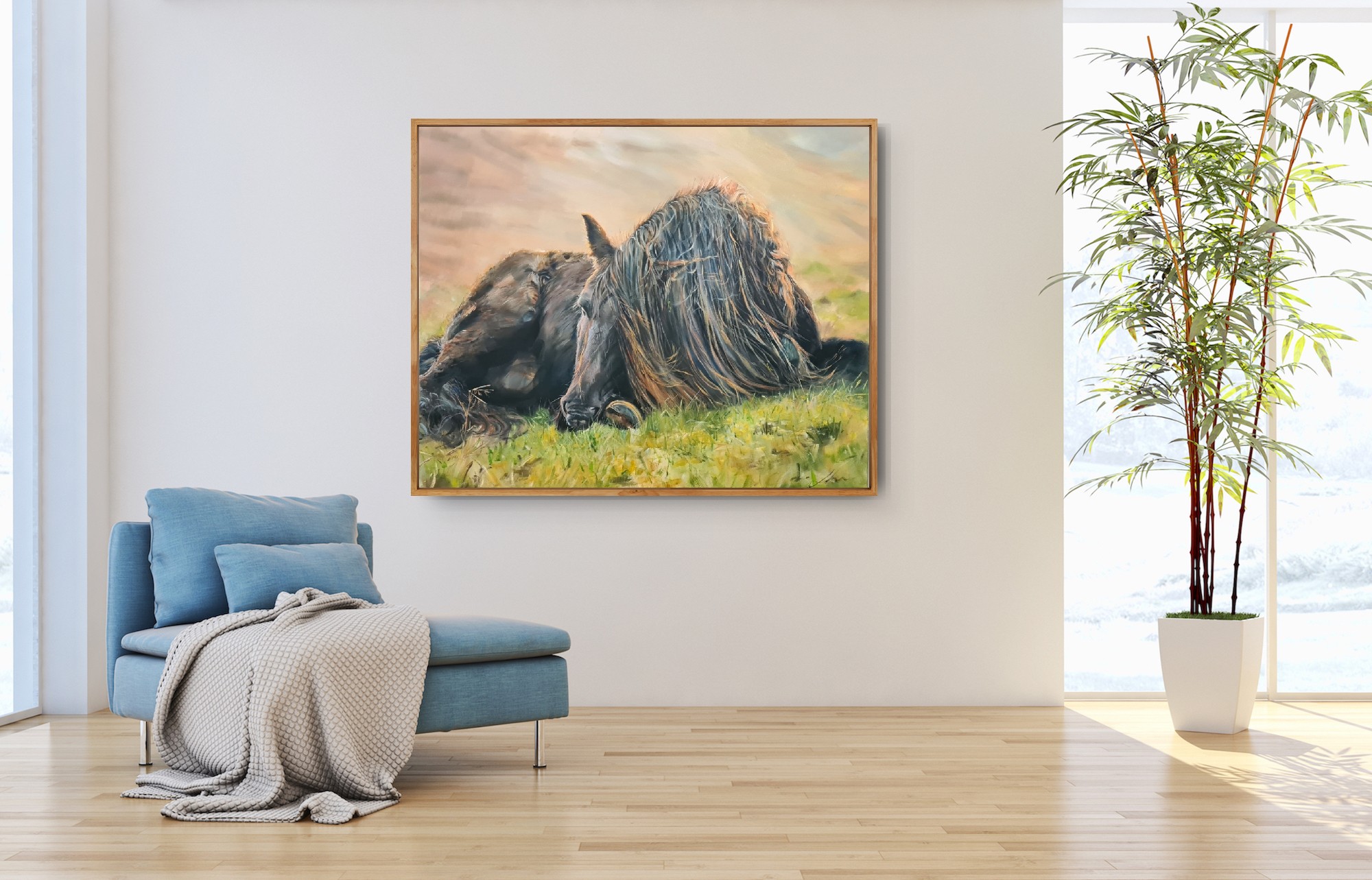 Black Horse Resting In Grass Jo S. Stacey Insitu3