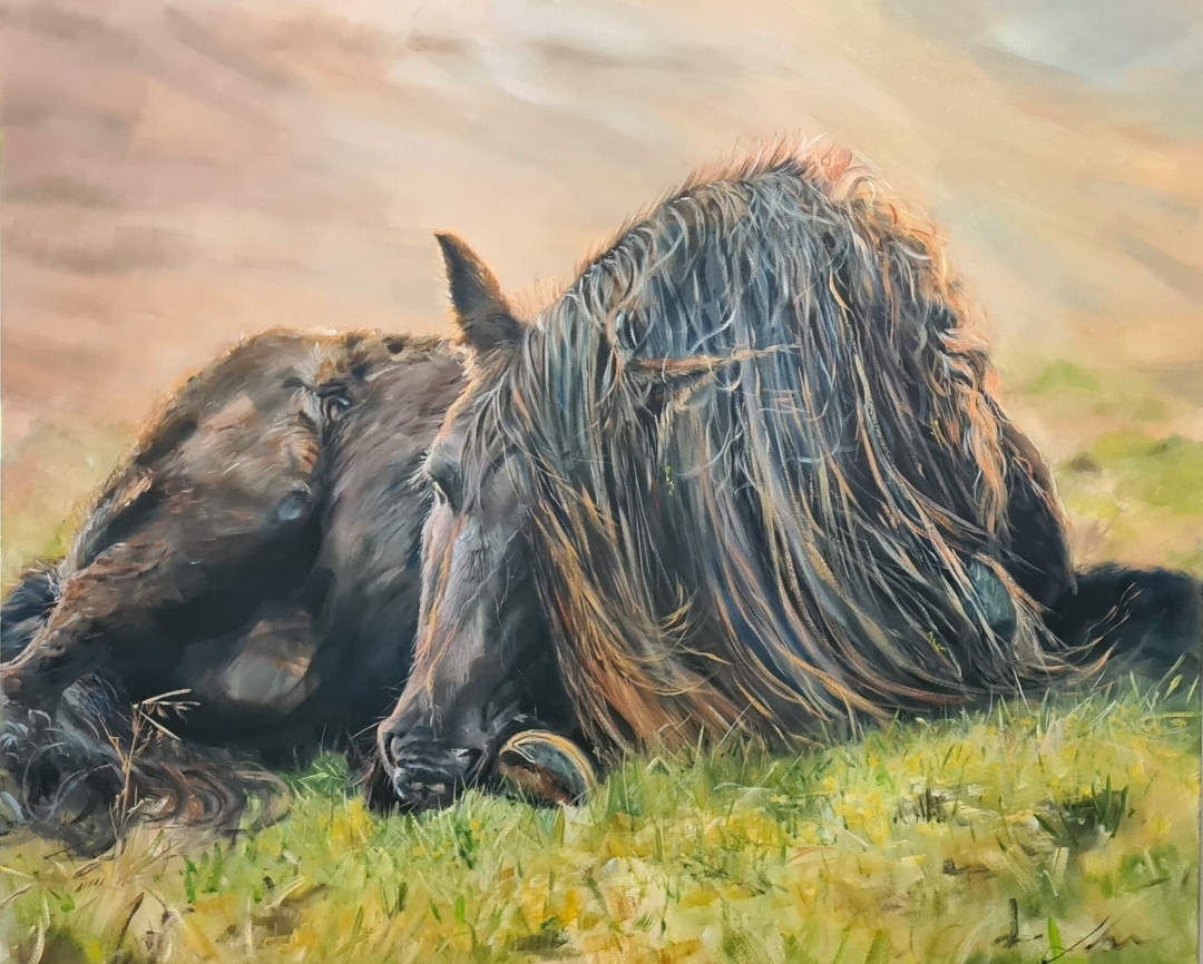 Black Horse Resting In Grass Jo S. Stacey Oils