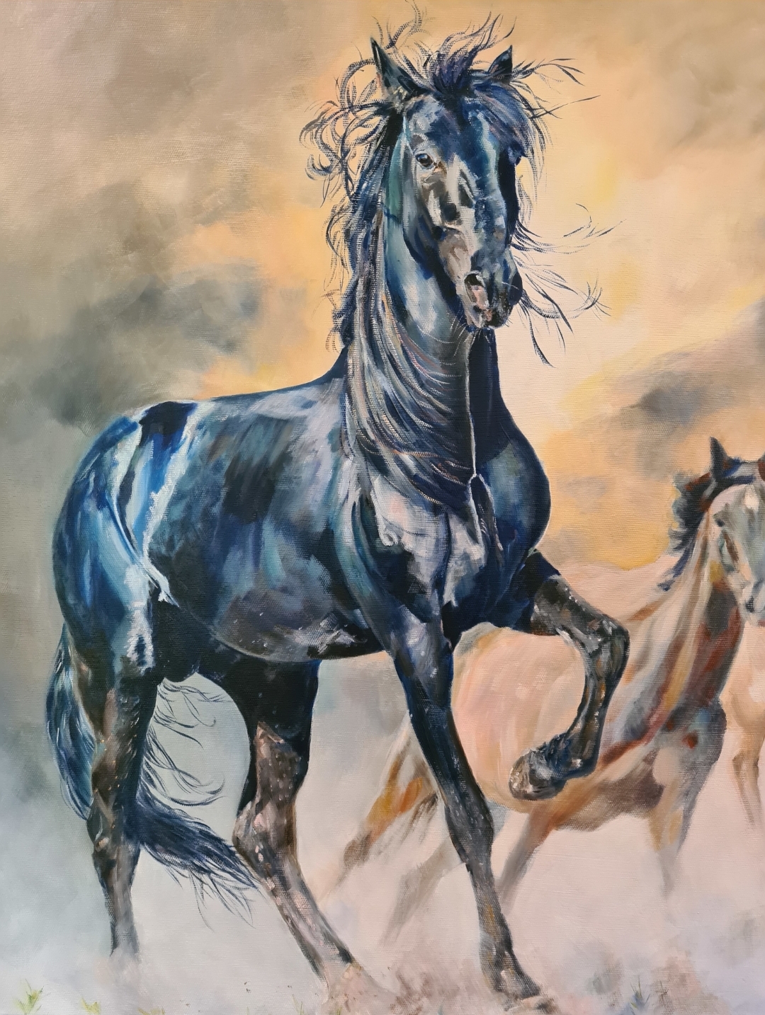 Black Stallion With Band Jo Stacey Closeup1
