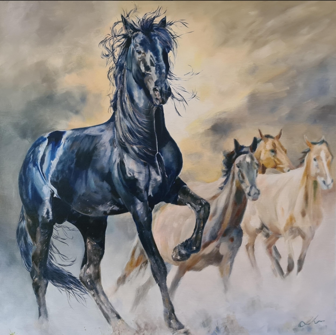 Black Stallion With Band Jo Stacey Fine Art Oils