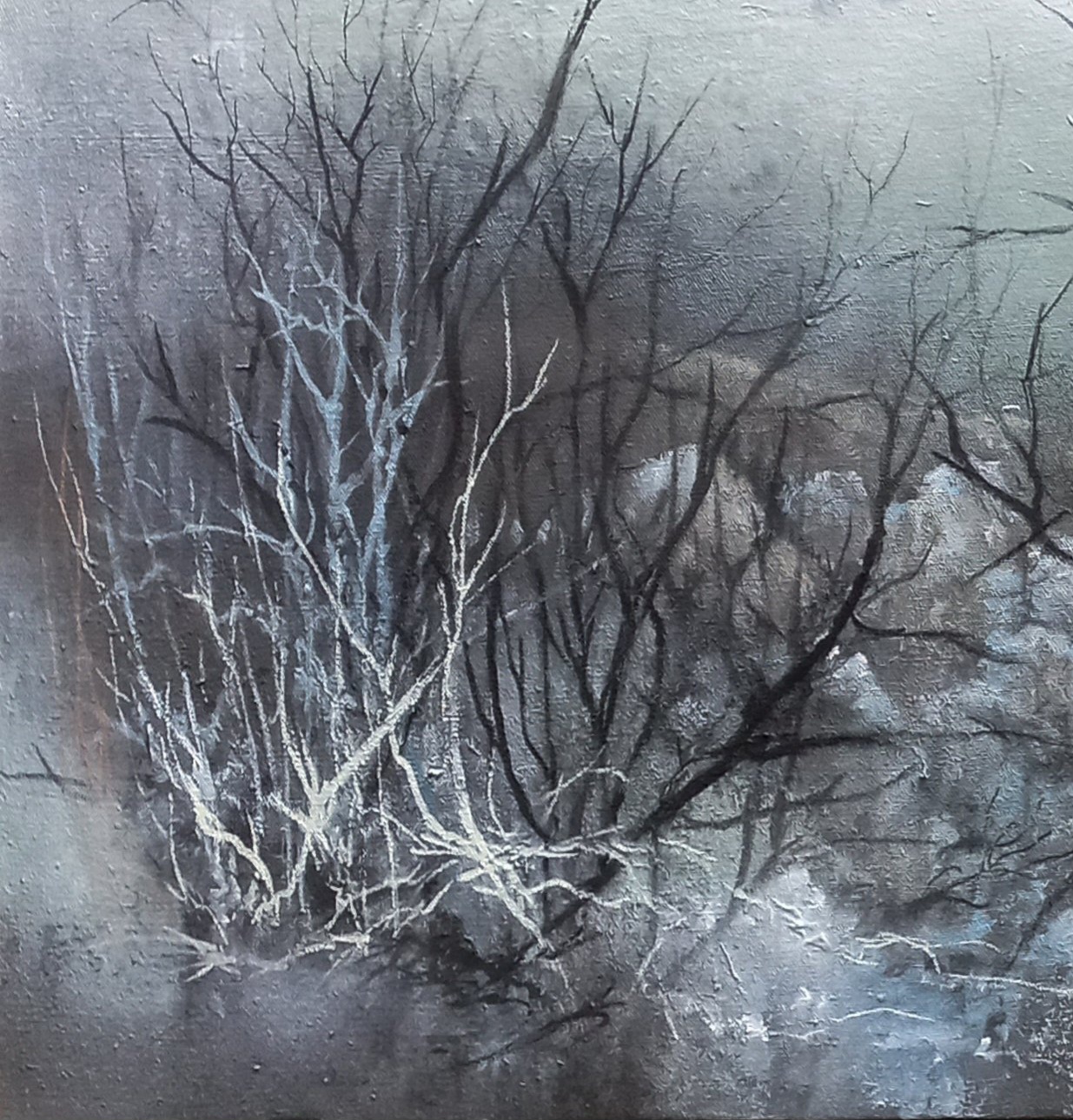 Tapscanner 17 01 2025 13꞉22 20250117 132321 902 53