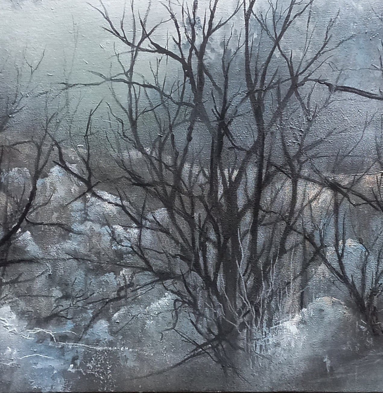 Tapscanner 17 01 2025 13꞉22 20250117 132324 056 40