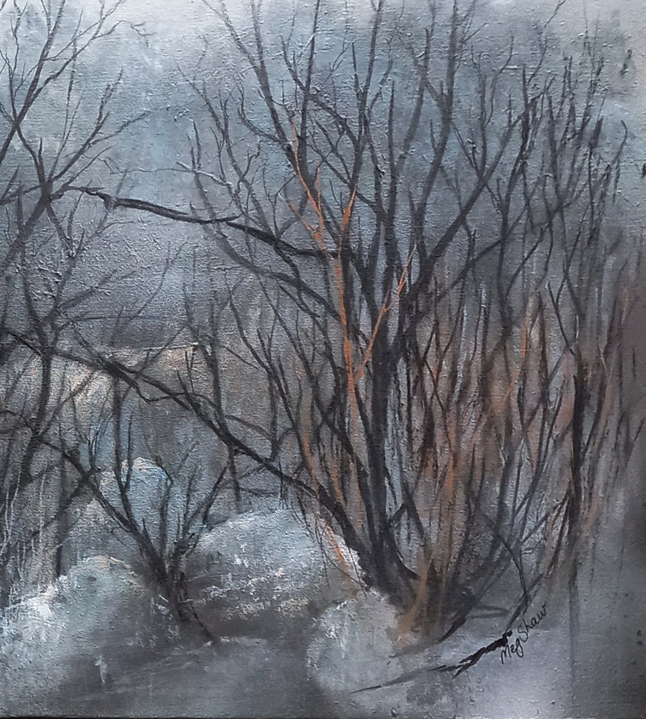 Tapscanner 17 01 2025 13꞉22 20250117 132326 145 7