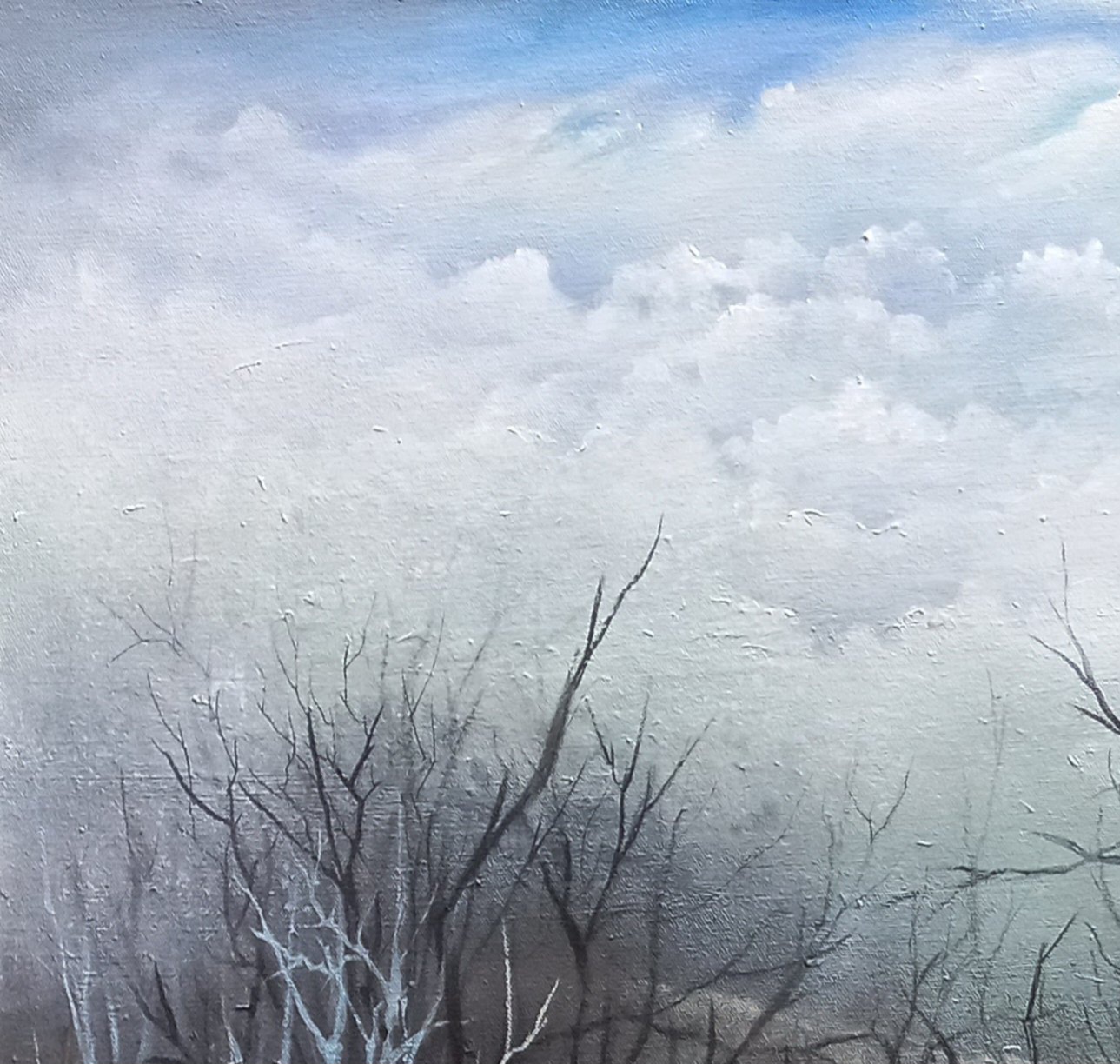 Tapscanner 17 01 2025 13꞉22 20250117 132328 069 32