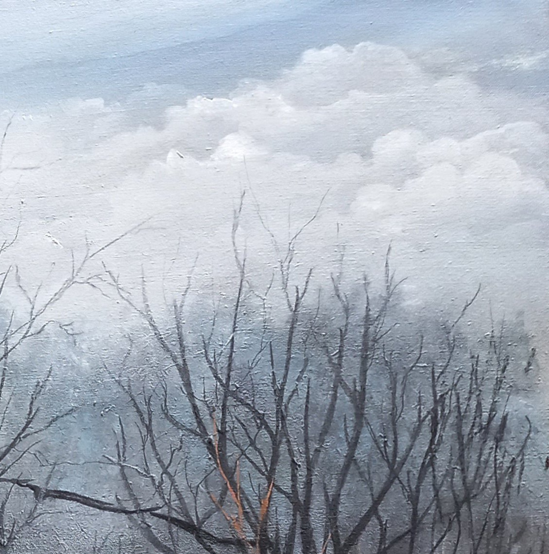 Tapscanner 17 01 2025 13꞉22 20250117 132525 601 1