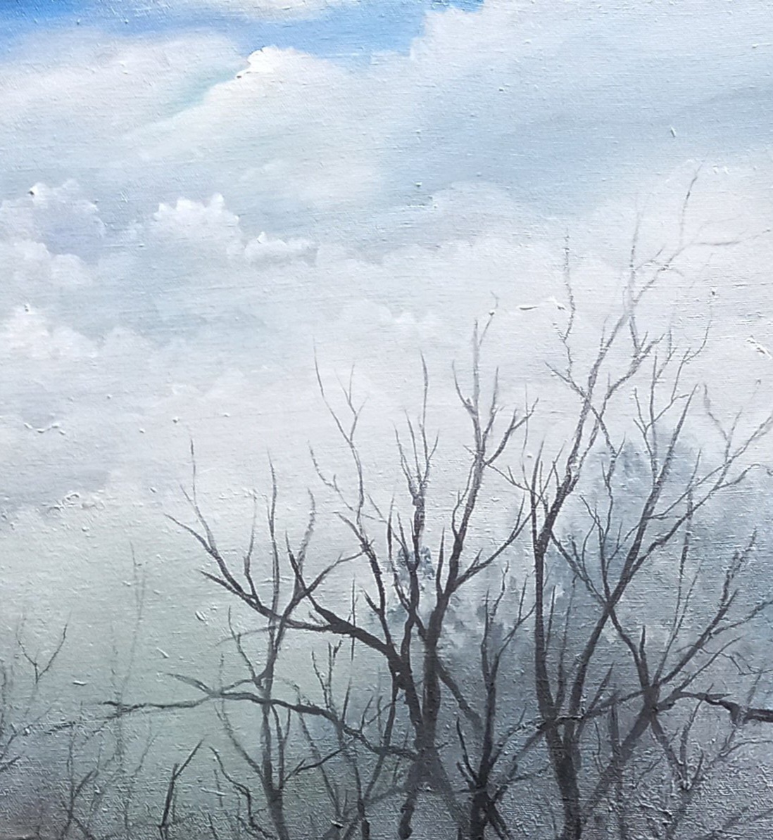 Tapscanner 17 01 2025 13꞉22 20250117 132531 468 6