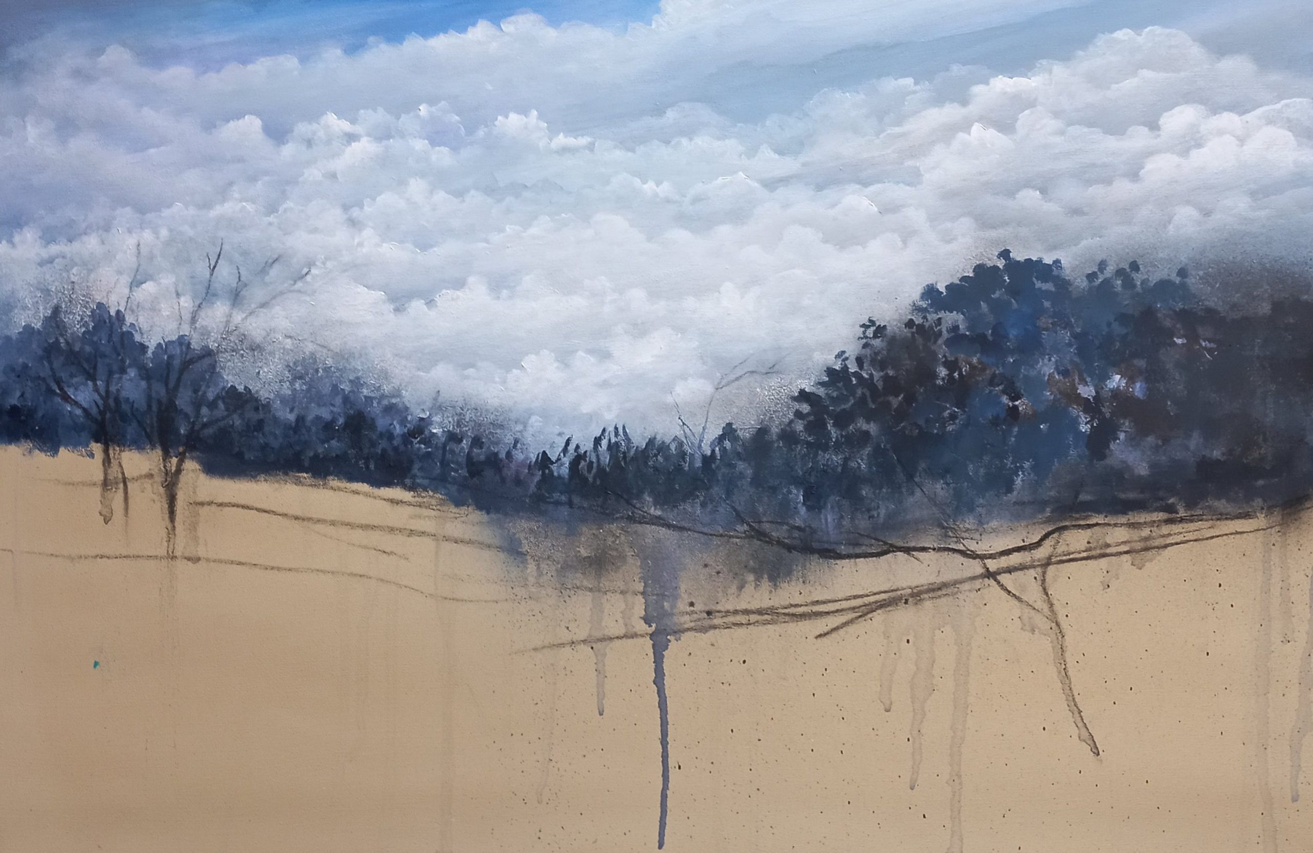 Tapscanner 17 01 2025 13꞉57 20250117 135724 104 57