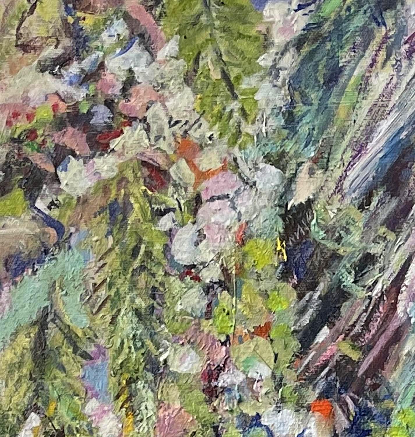 Netting The Apricot Tree Closeup 5