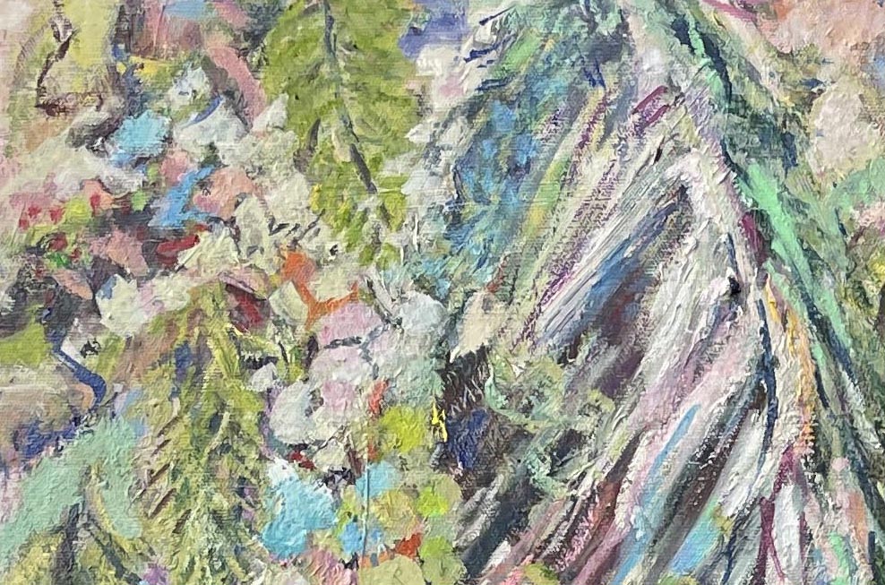 Netting The Apricot Tree Clsoeup 6