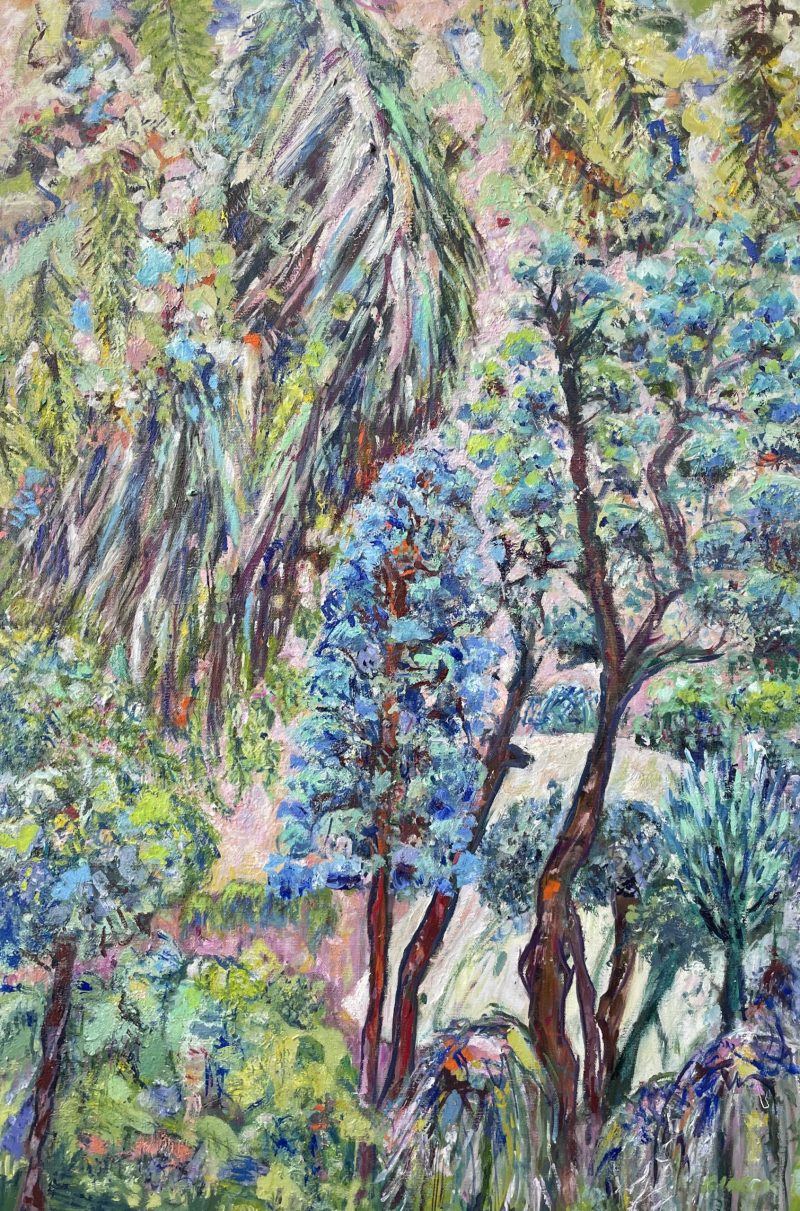 Netting The Apricot Tree