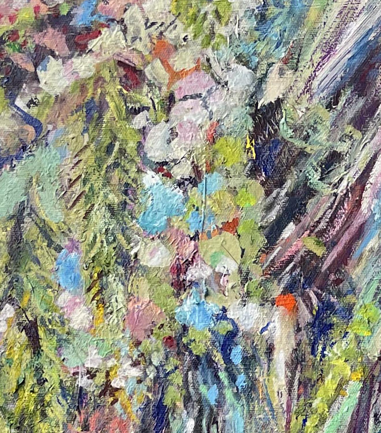 Netting The Aprucot Tree Closeup 5