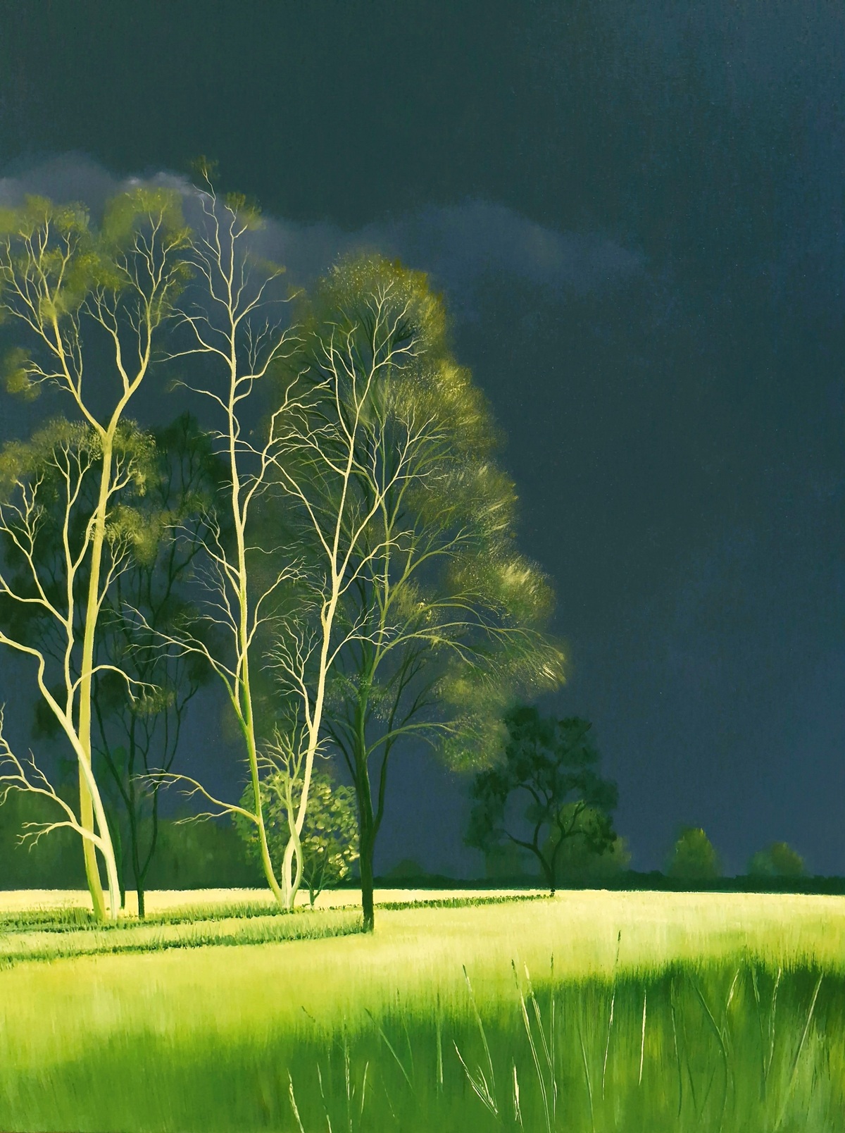 Mesmerised By You Lucinda Leveille 1