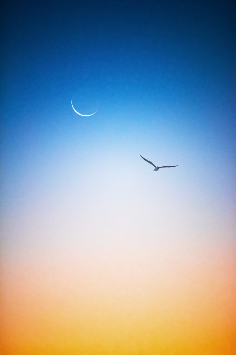 Heading Home – Ltd Ed Photography