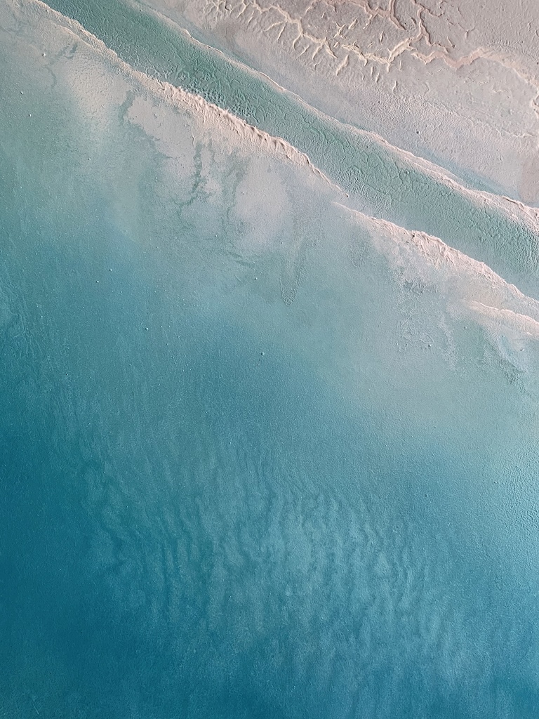 Large Original Paintings. Petra Meikle De Vlas4