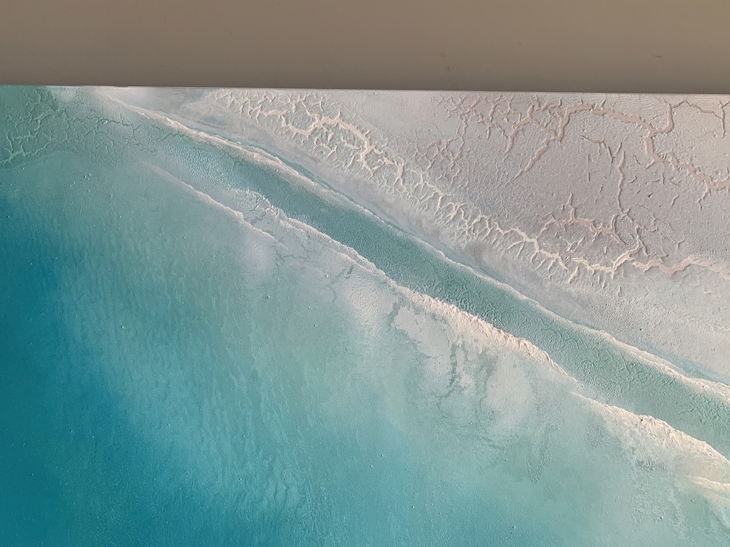 Large Original Paintings. Petra Meikle De Vlas7