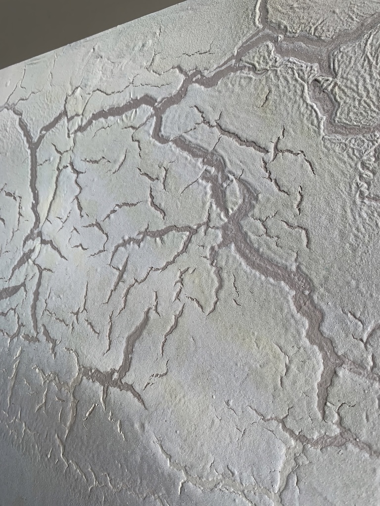 Large Original Paintings. Petra Meikle De Vlas6