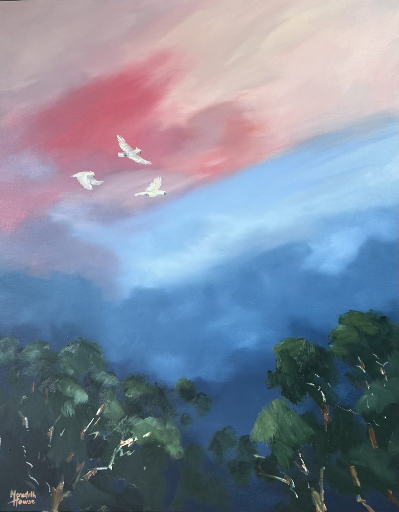 Illumination Freedom