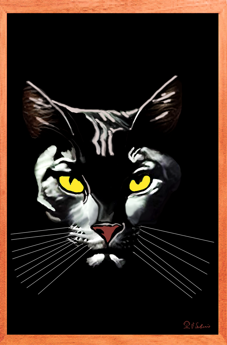 Street Urban Art Collection Number 472 Web 2