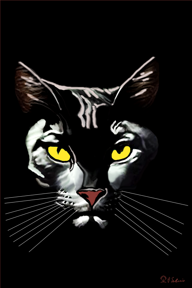 Street Urban Art Collection Number 472