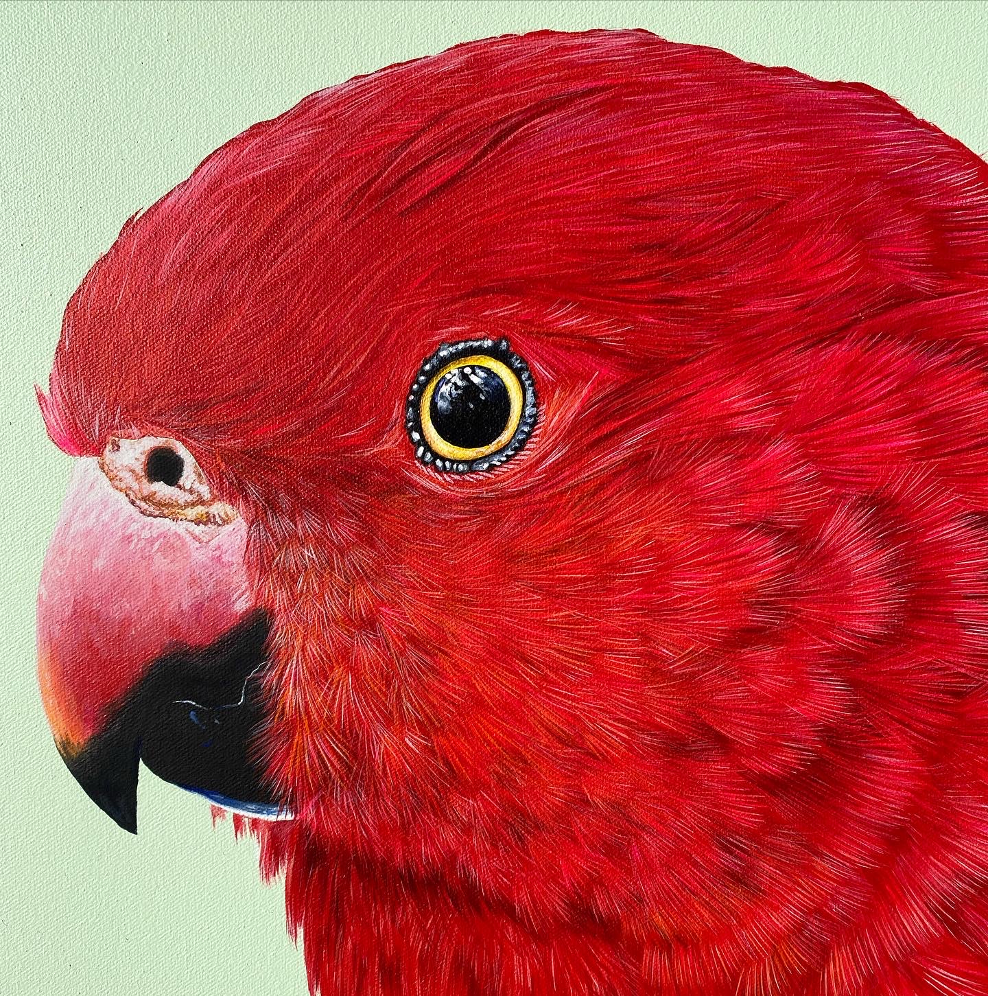 F55d79ac Ea00 4cf6 9145 5f99b73a9608