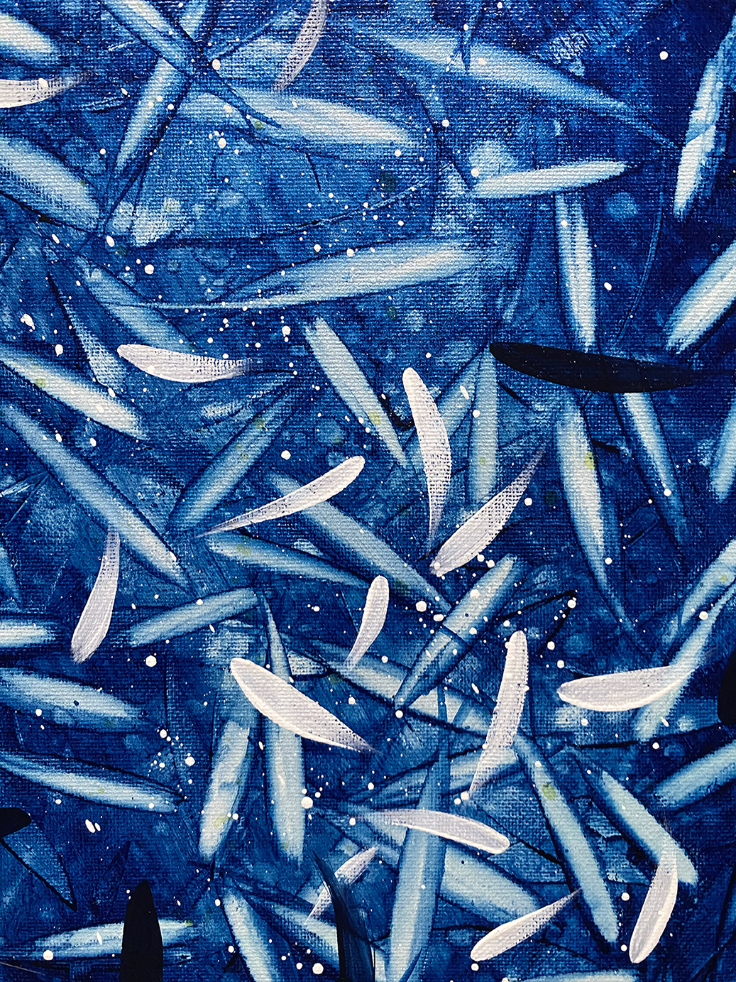 Midnight Blue Close Lr