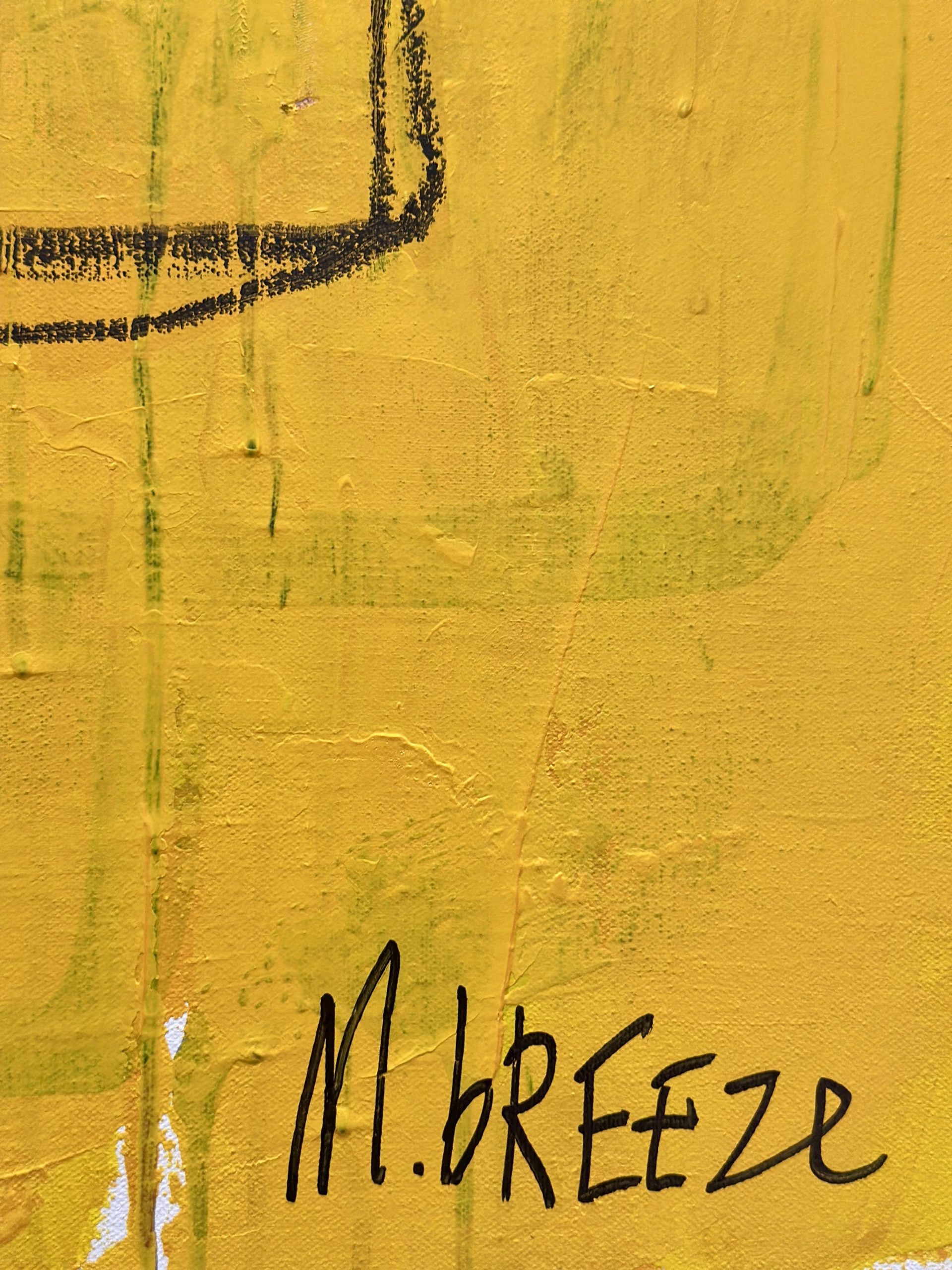 Martin Breeze Silly Lily Fairbairn Signed