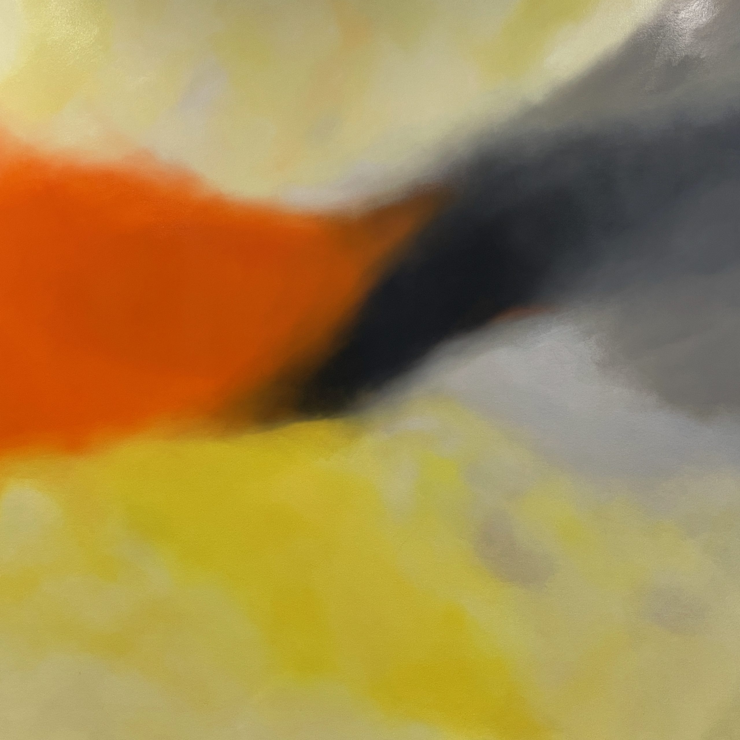 Img 1757 Colour Field #20 V6