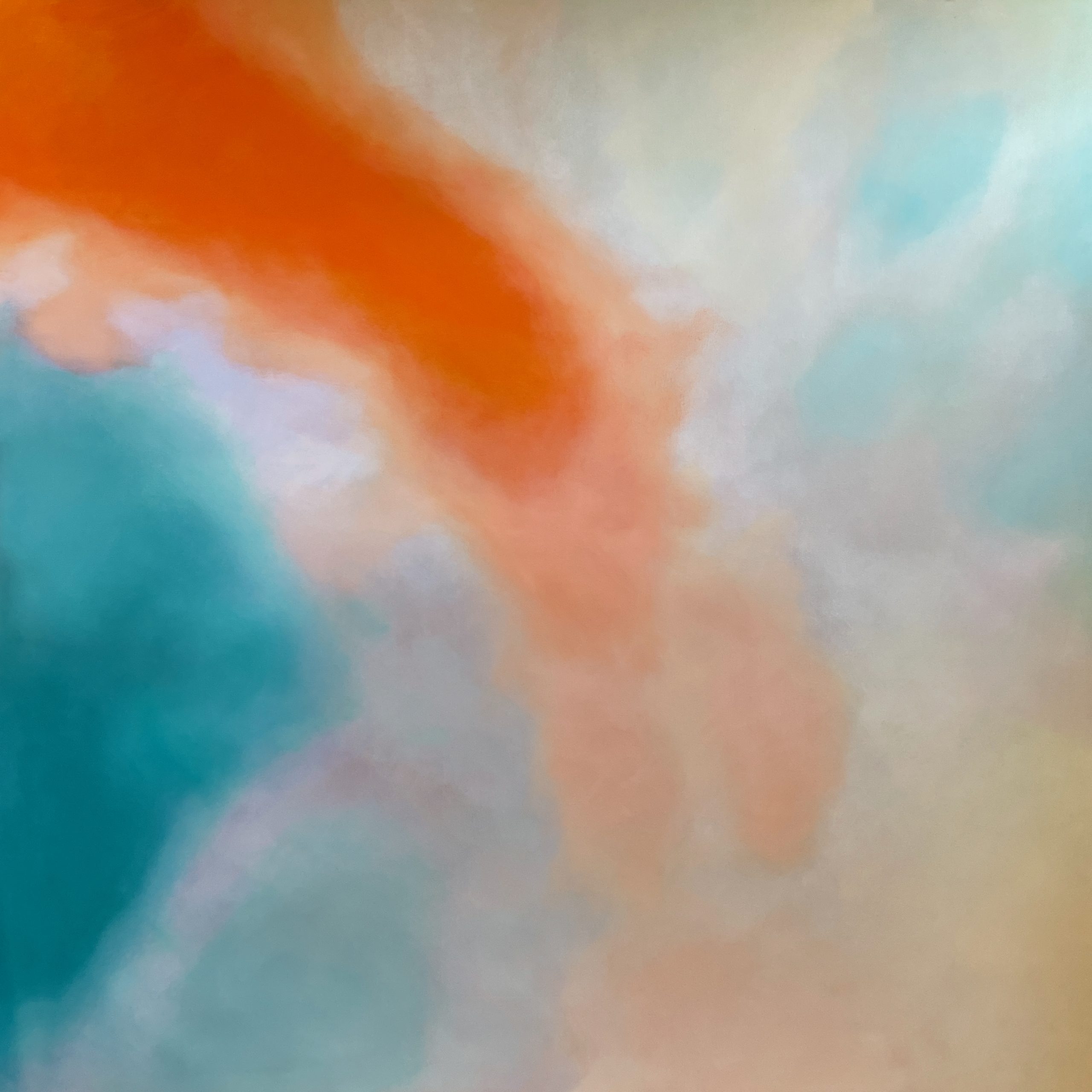 Img 2431 Colour Field #24